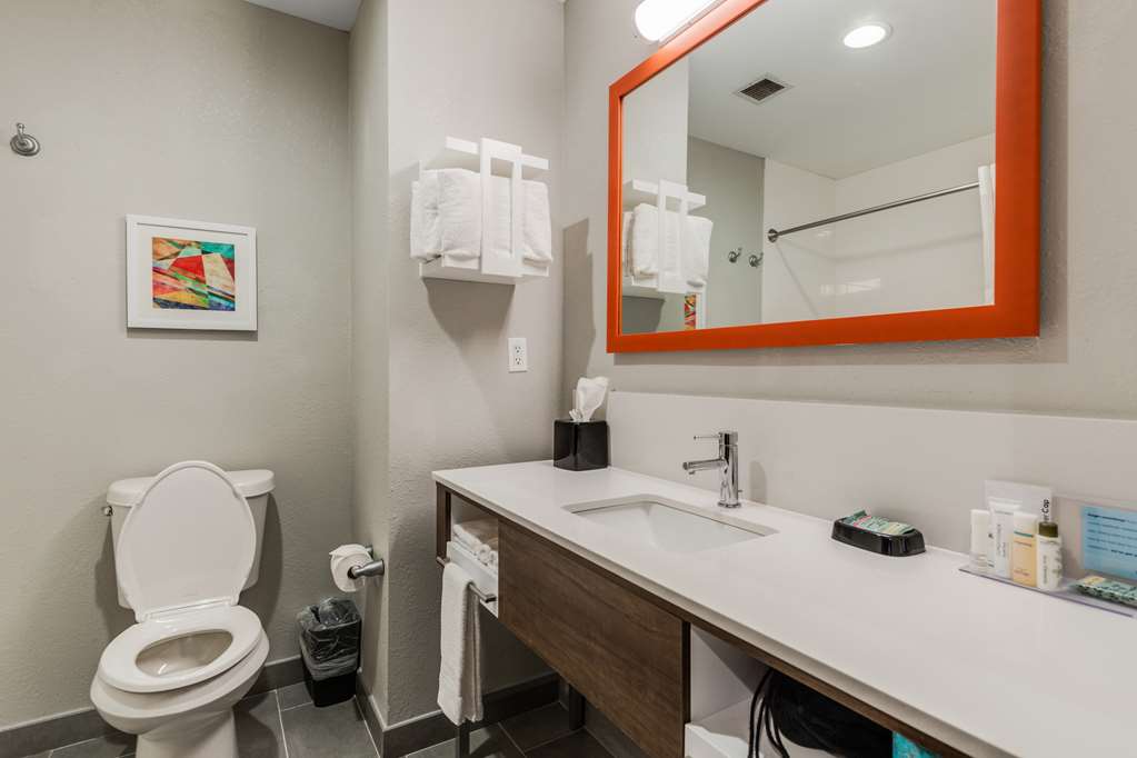 Hampton Inn and Suites Selma-San Antonio-Randolph-guestroom-Guest Room,Bathroom,On-Site.jpg