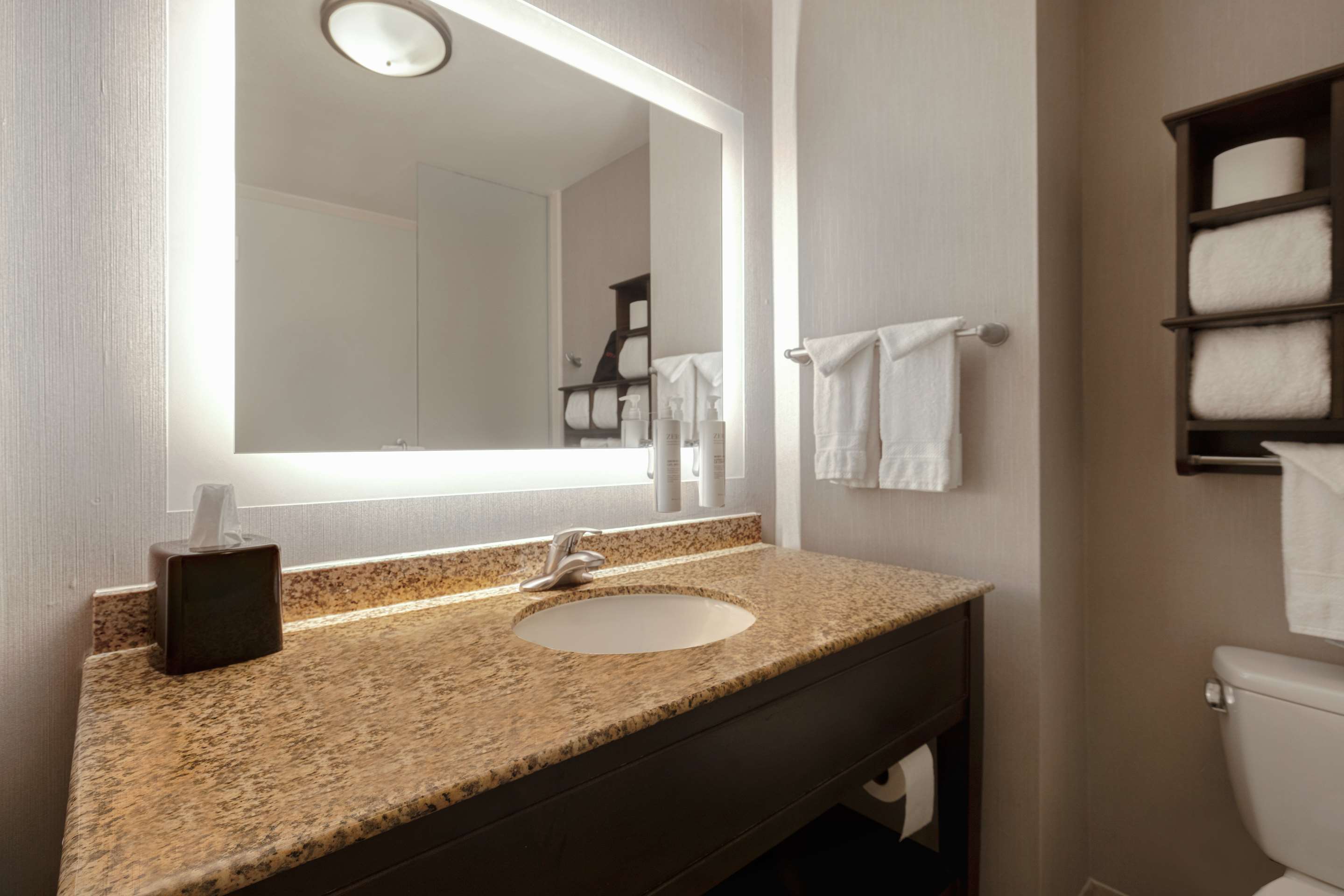 Guest room bath