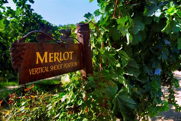 Exterior view - Hampton Inn & Suites Lodi