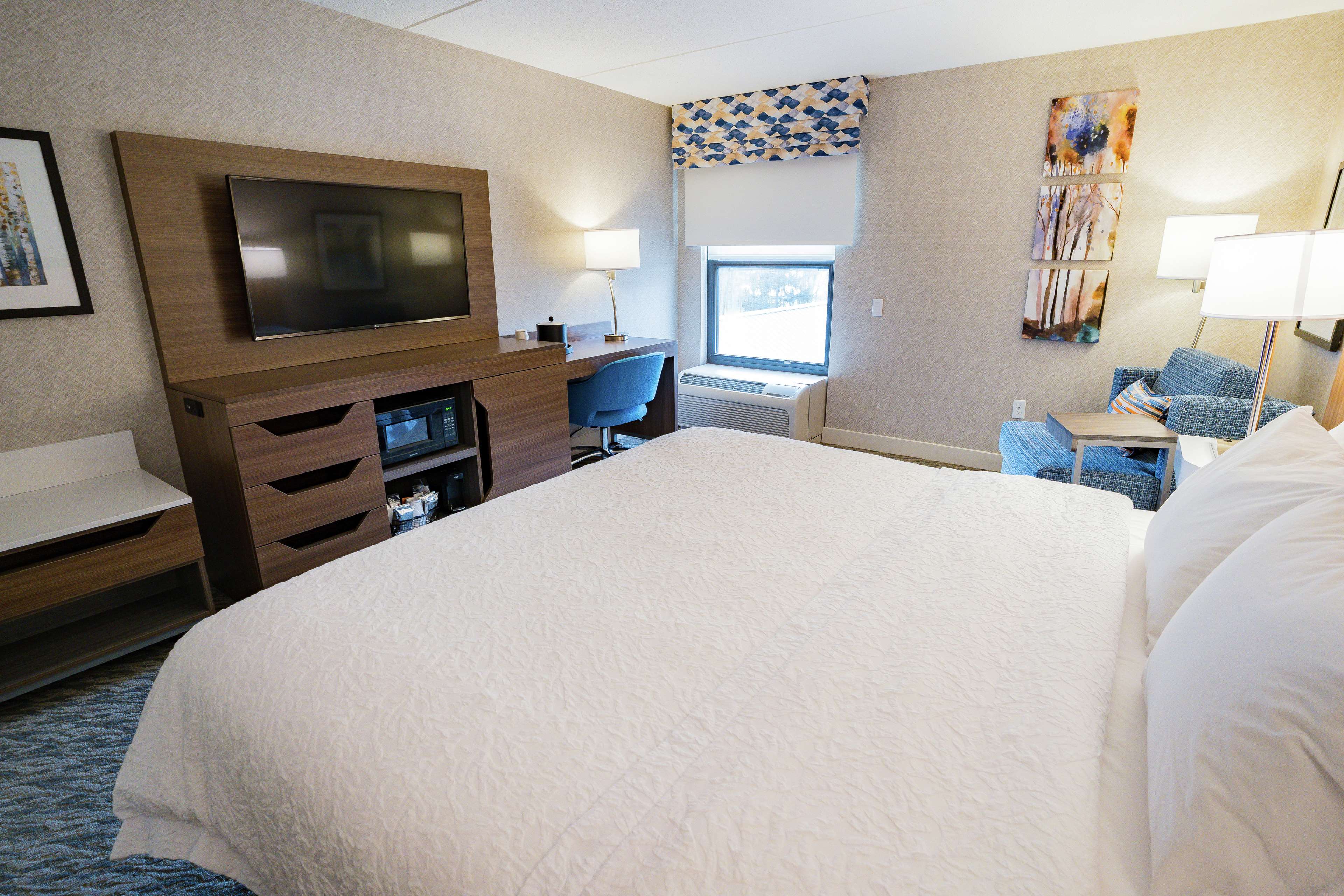 Hampton Inn Clarks Summit-Scranton Room Type - 1KNG MOB HEAR ACC W TUB NS
