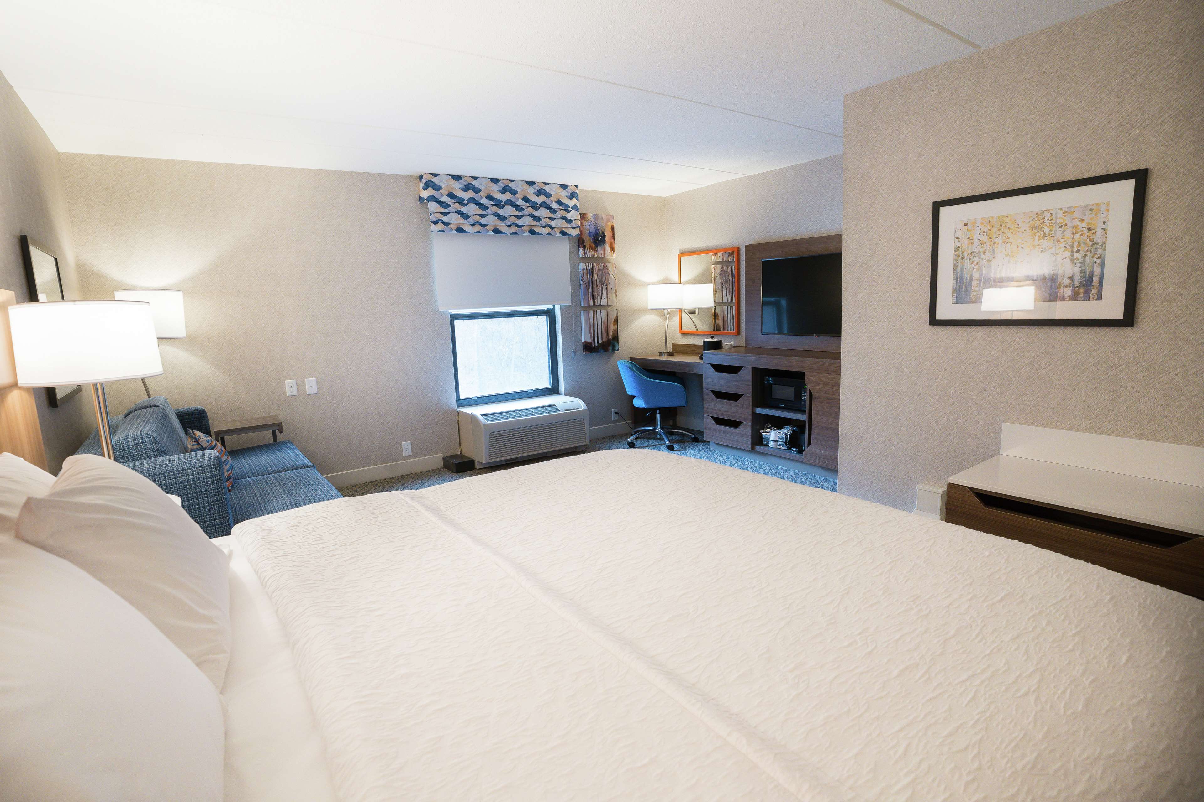 Hampton Inn Clarks Summit-Scranton Room Type - 1 KING W  SOFABED NONSMOK