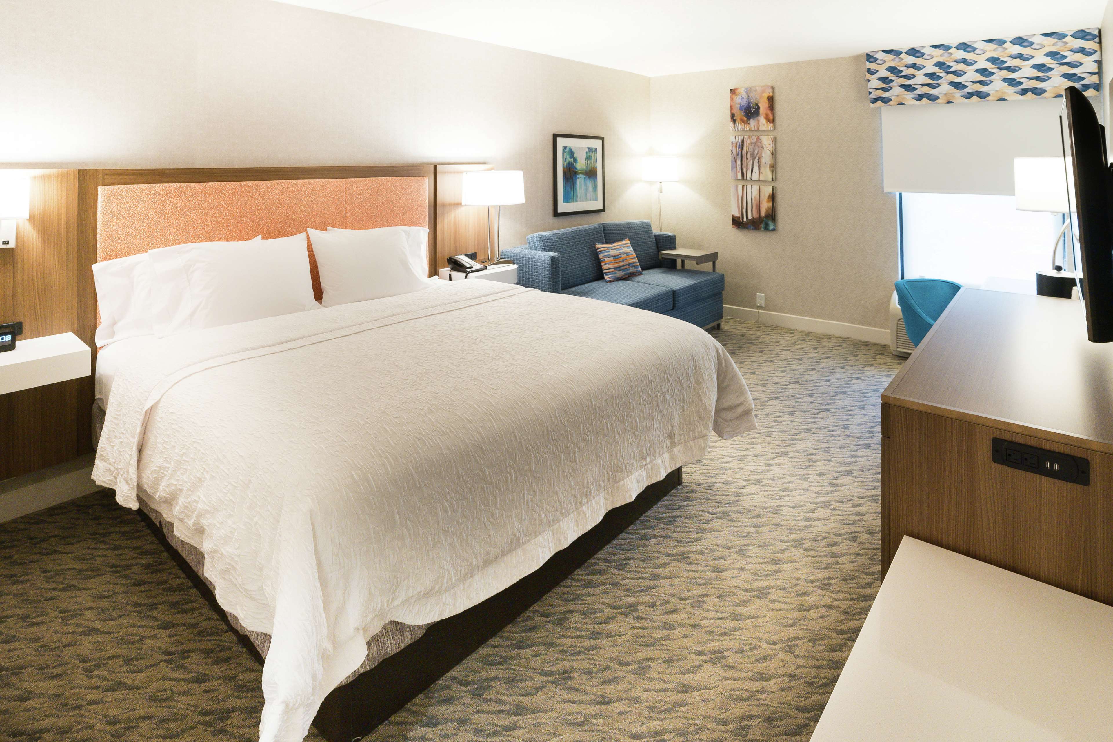 Hampton Inn Clarks Summit-Scranton Room Type - 1KING STUDY SOFABED NOSMOK