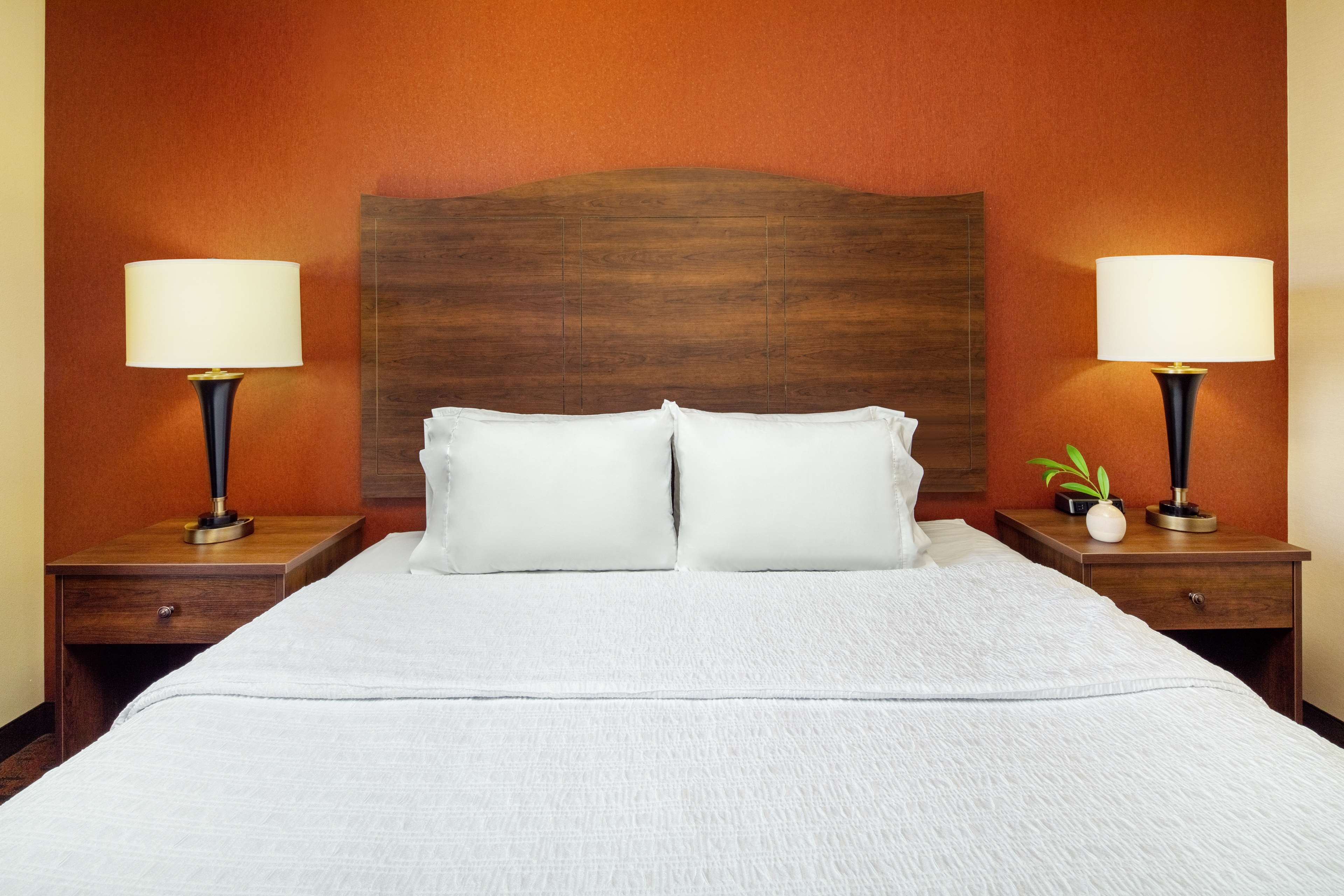Hampton Inn & Suites Scottsdale Riverwalk Room Type - 1KN STDO MIC FRIDG WTBR NS