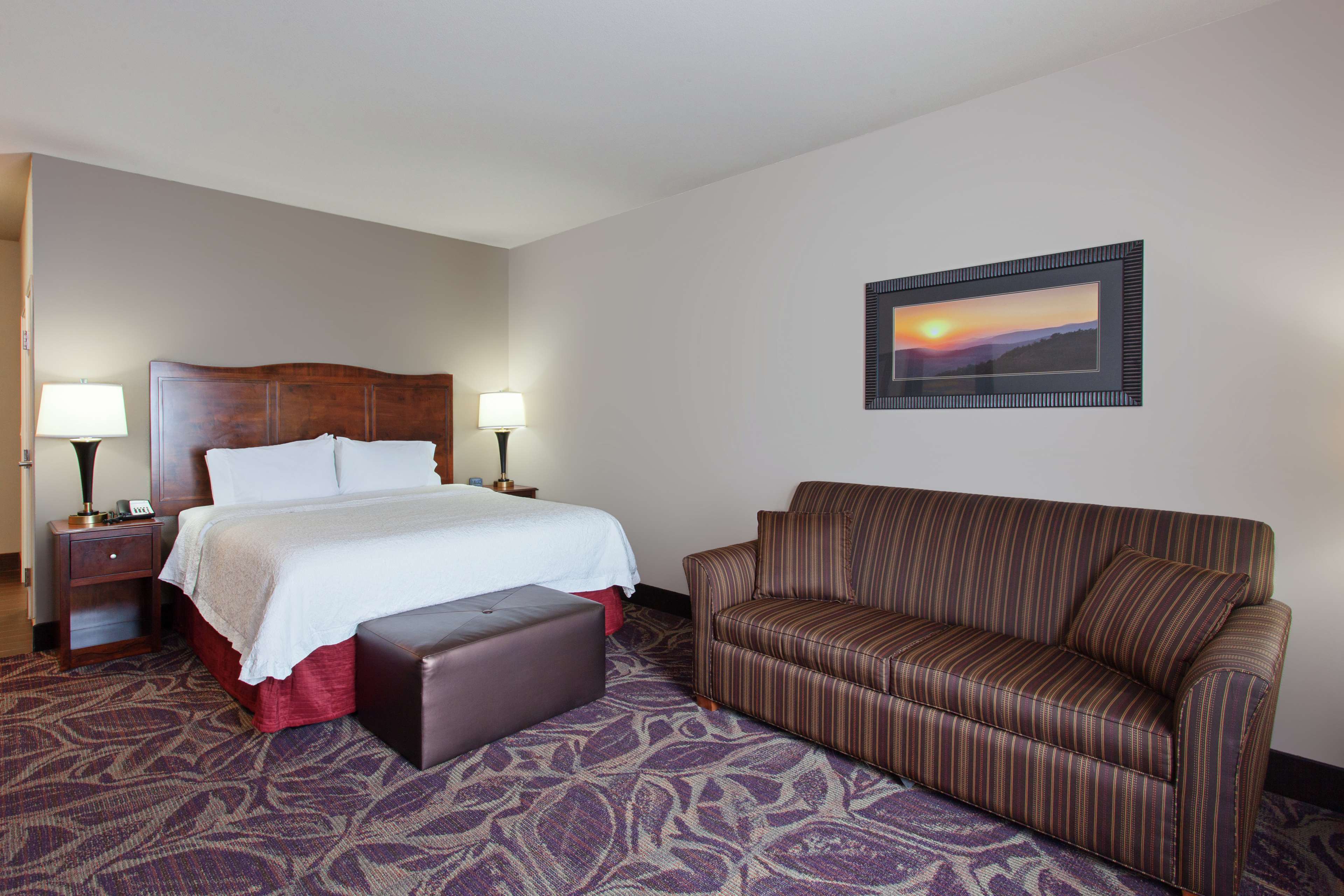 Hampton Inn by Hilton Seattle/Everett Room Type - 1 KING SFBD MIC FRG NS
