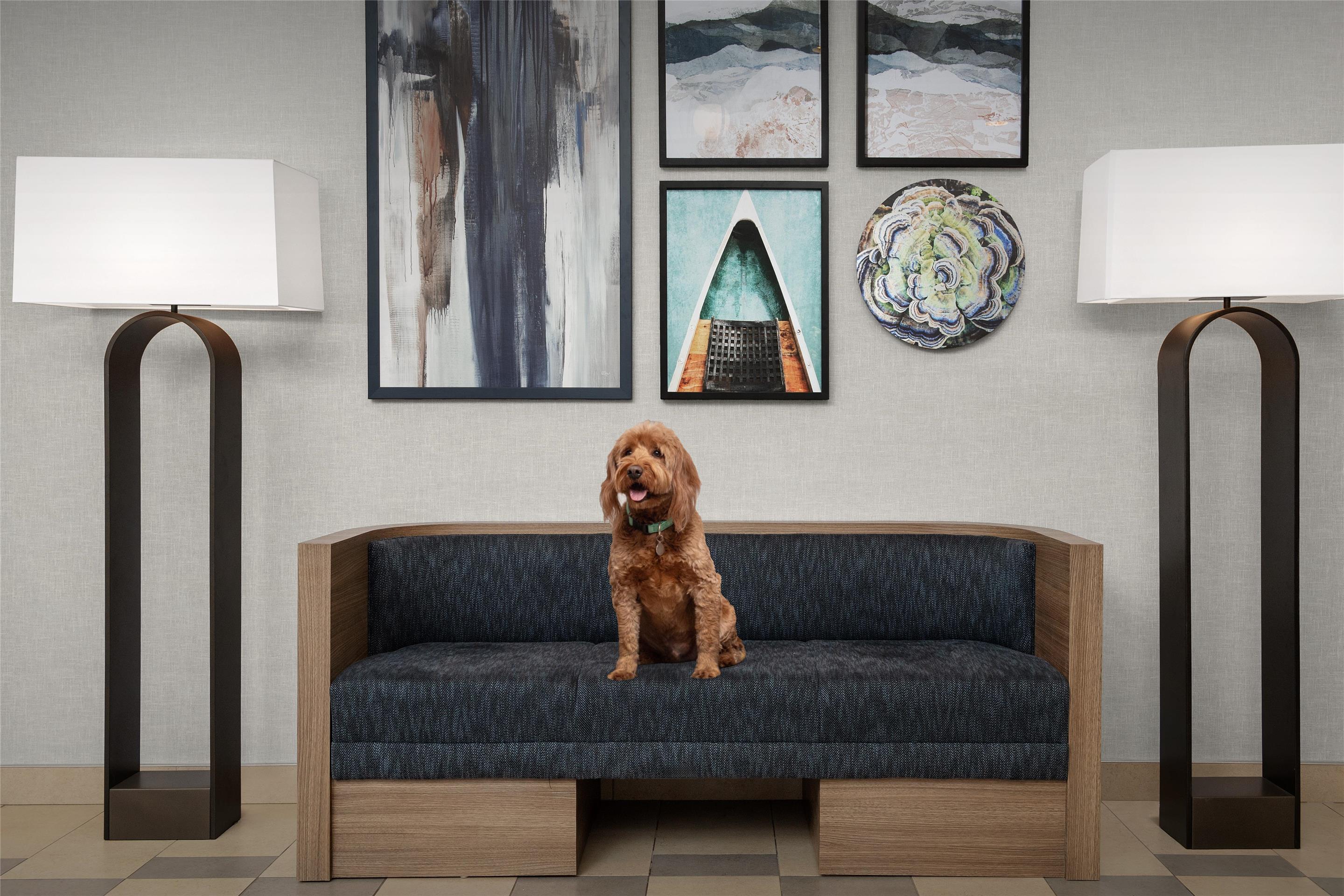 Lobby | Homewood Suites by Hilton Seattle/Lynnwood
