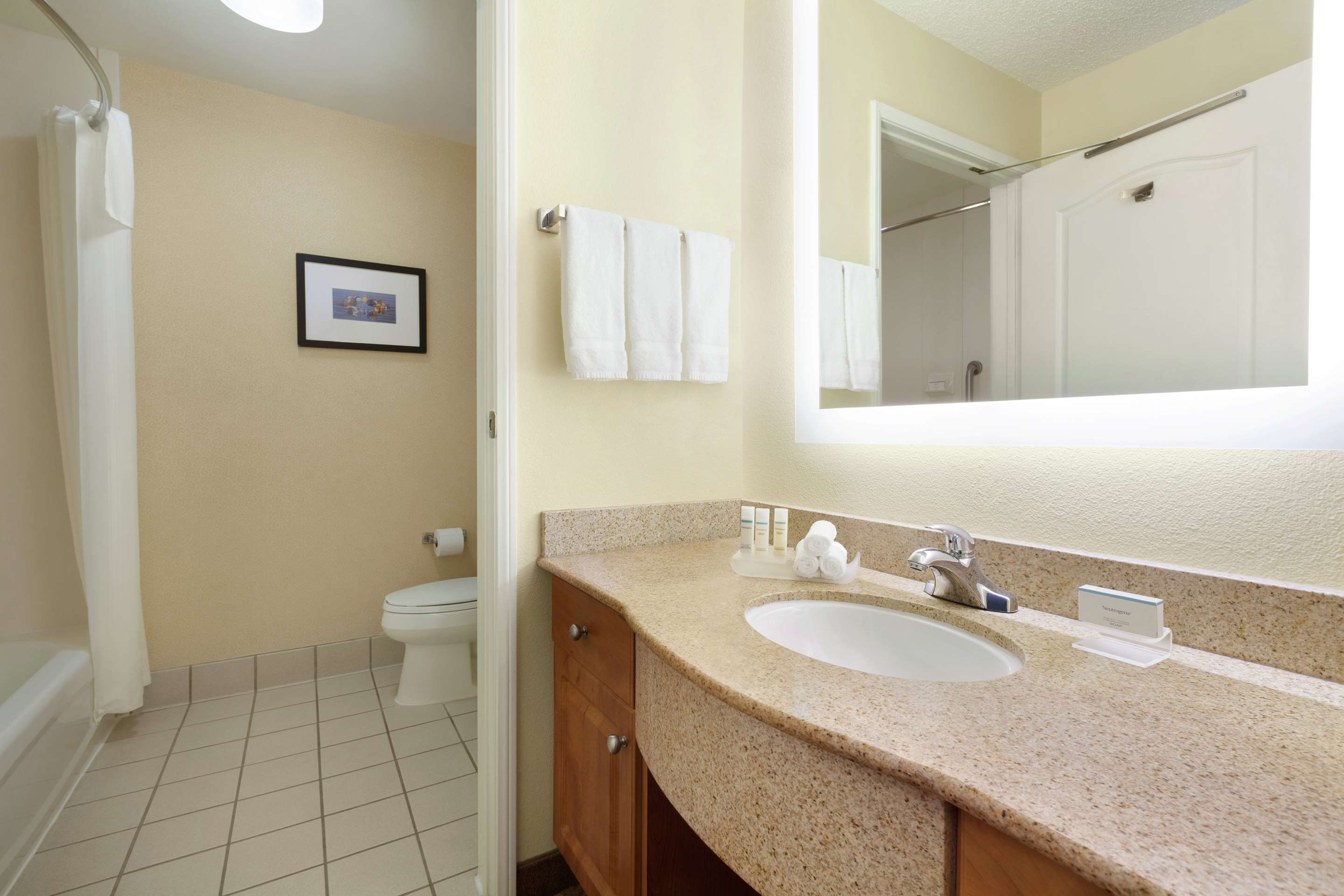 Guest room bath