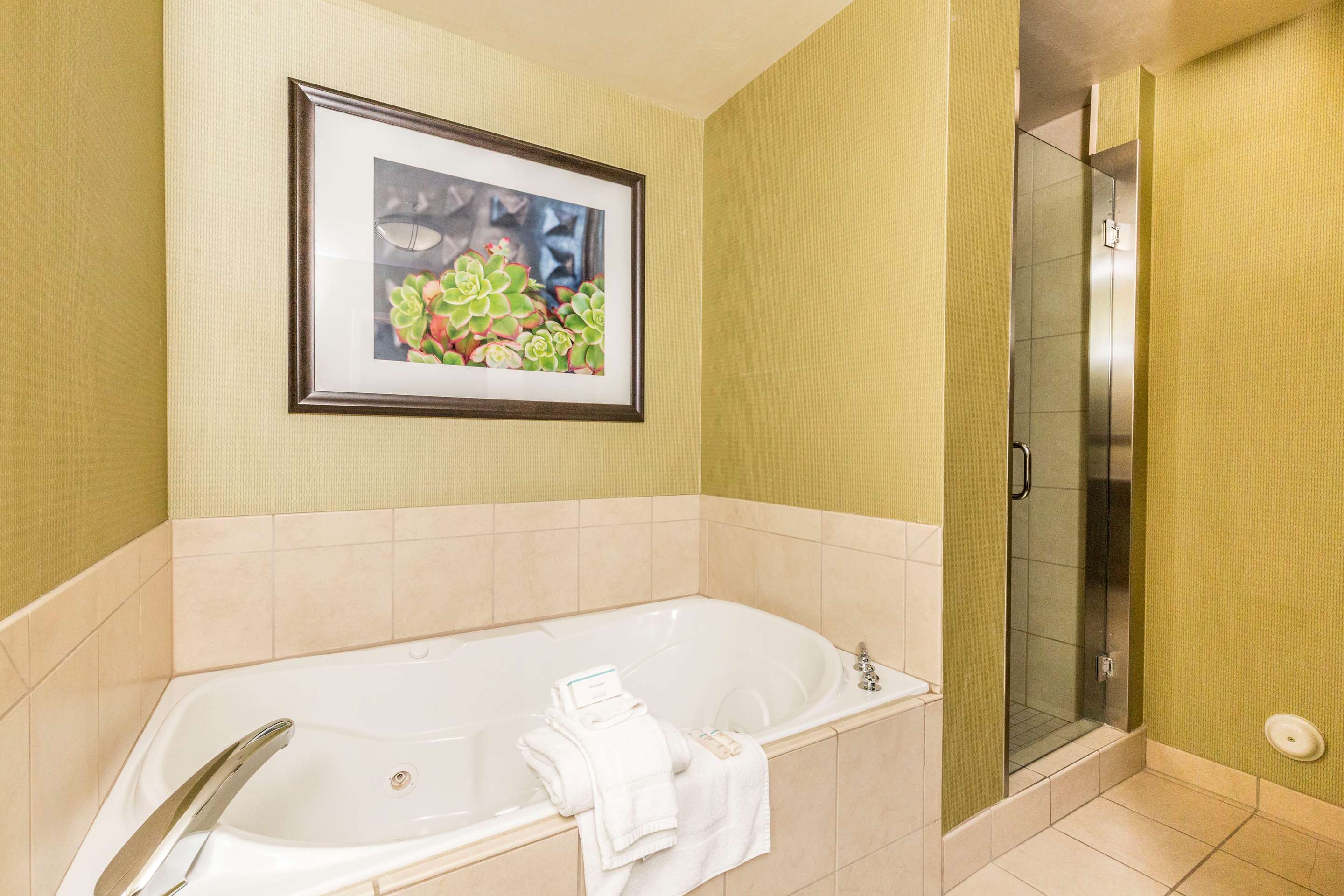 Guest room bath