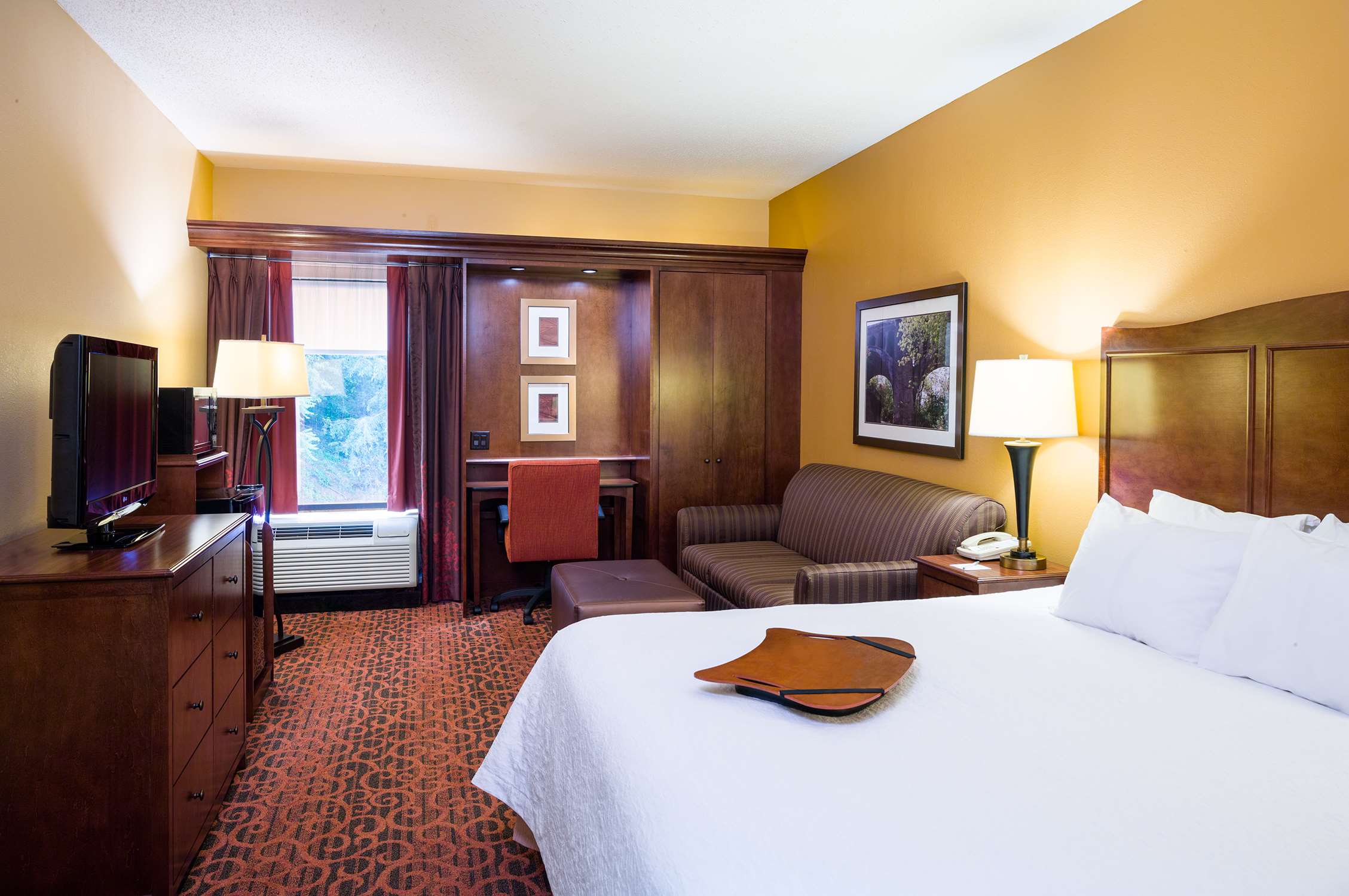 Hampton Inn by Hilton Selinsgrove/Shamokin Dam Room Type - 1 KING W SOFABED NONSMOK