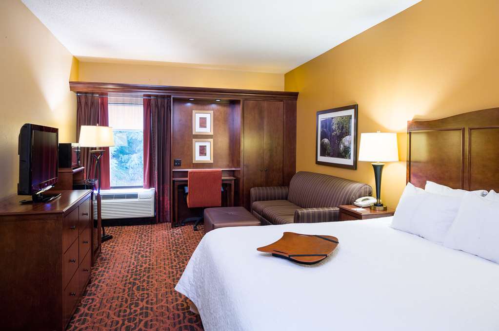 Hampton Inn by Hilton Selinsgrove/Shamokin Dam Room Type - 1 KING W SOFABED NONSMOK