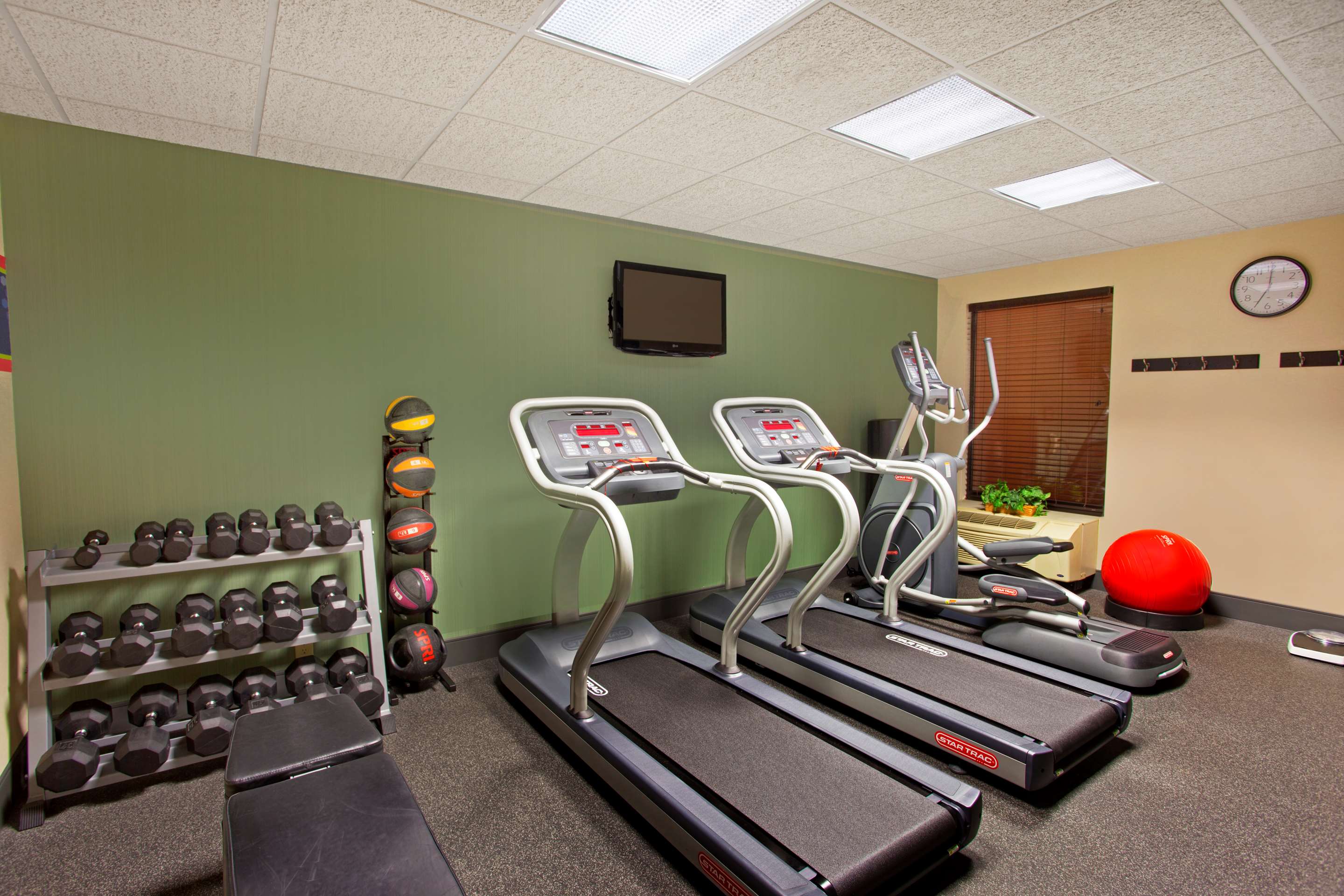 Health club fitness center gym