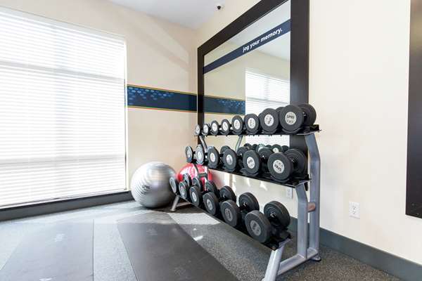 Fitness/ Exercise Room - Hampton Inn Milan - I-80 & I-90, Exit 118