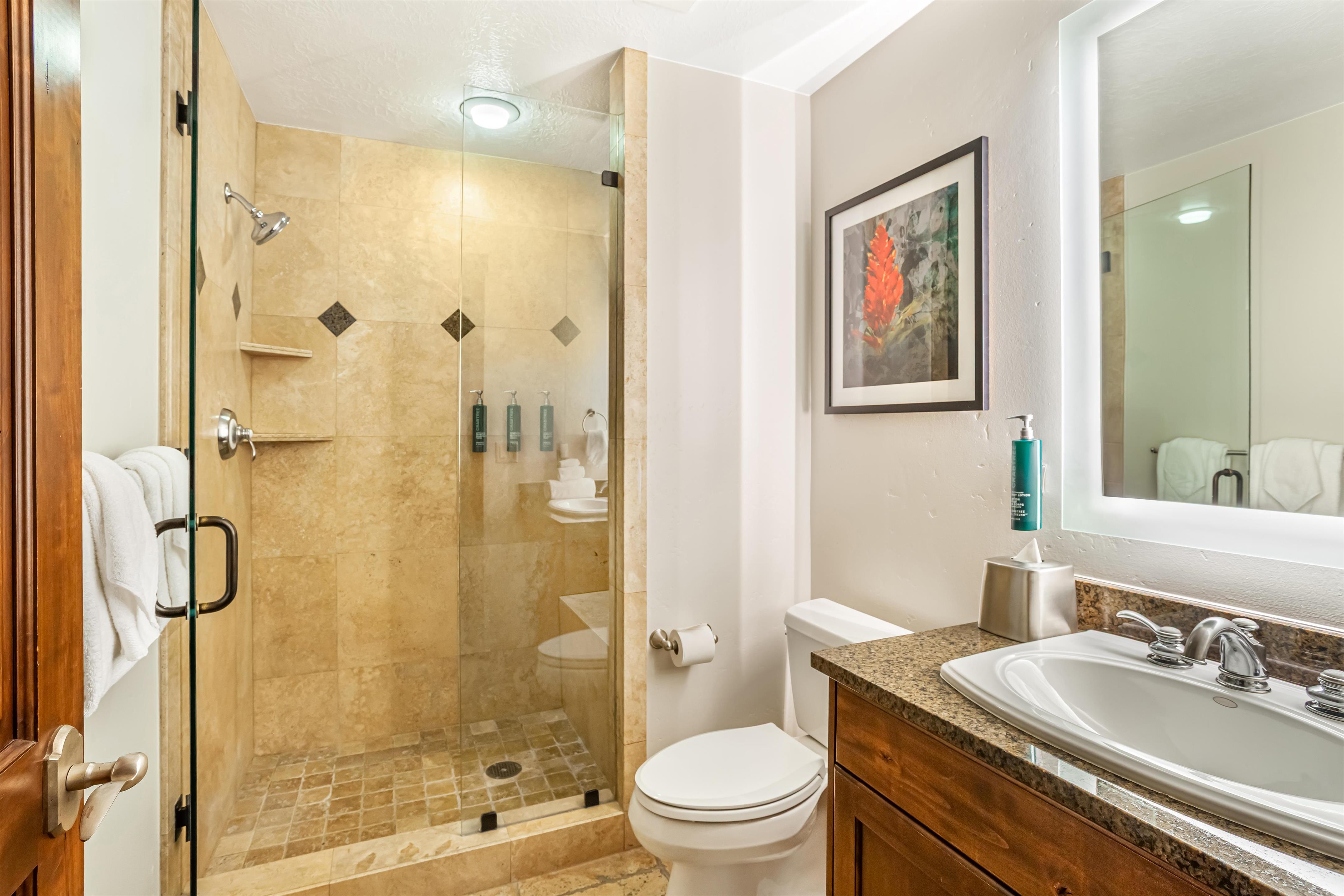 Guest room bath