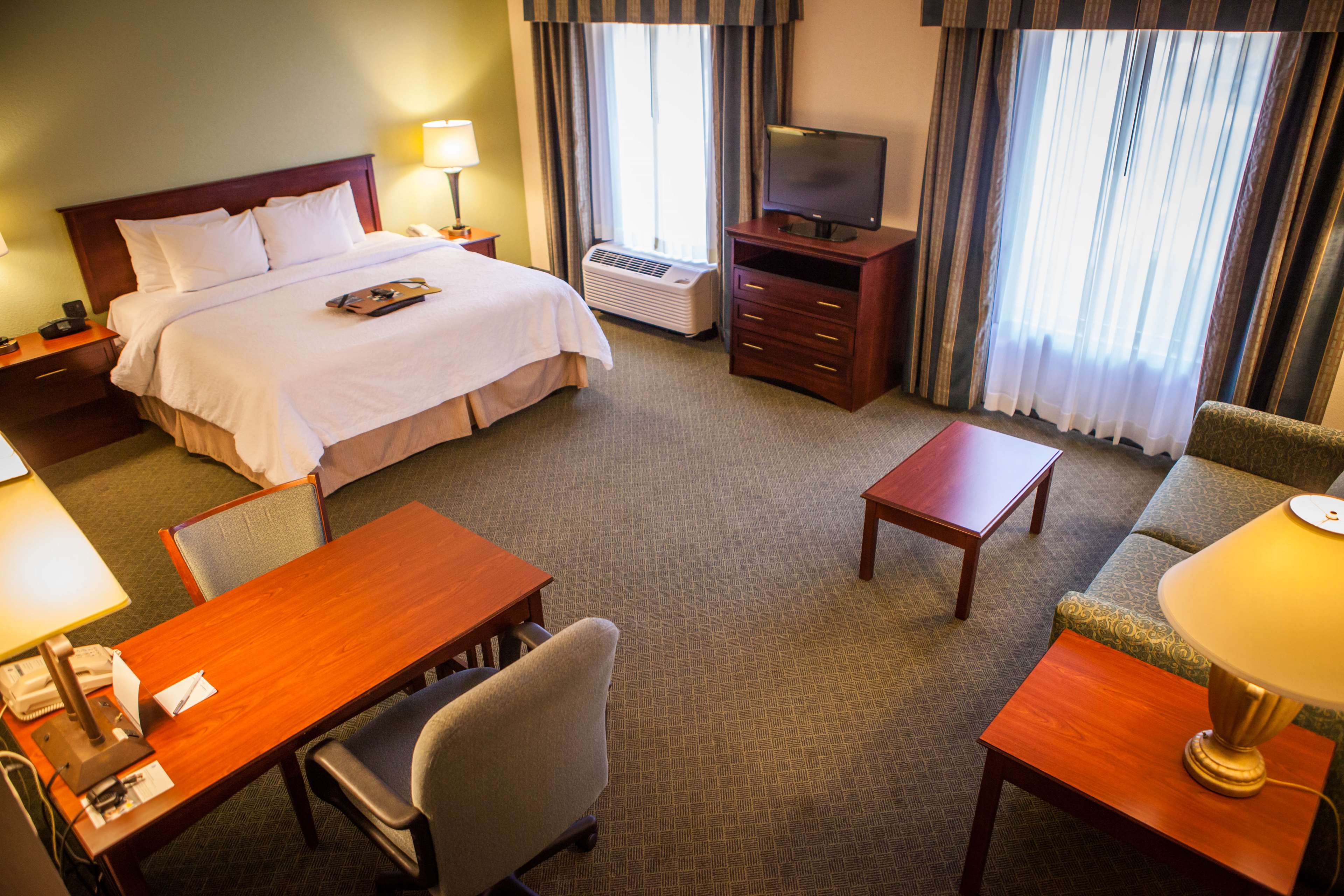 Hampton Inn & Suites, Springfield SW Room Type - 1KNG STUDIO SOFABED NOSMOK