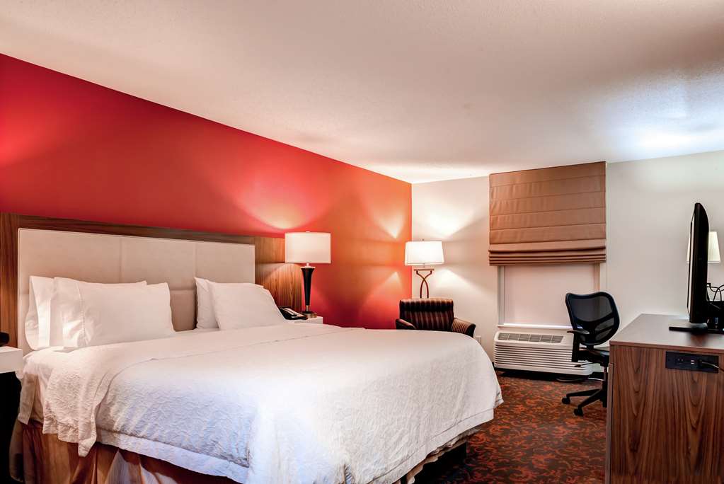 Hampton Inn St Joseph Room Type - 1 KNG ACC TUB SOFABED NS
