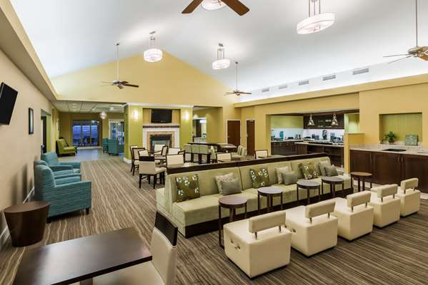 Bar - Homewood Suites by Hilton Riverport Maryland Heights - I-70, Exit 231A