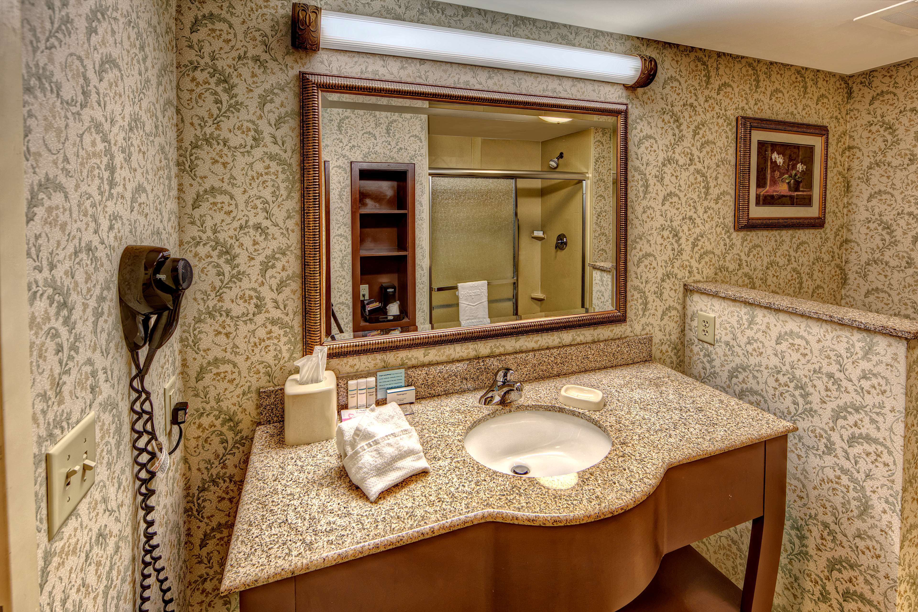 Hampton Inn by Hilton Manning Room Type - KING STUDY-NON SMOKING