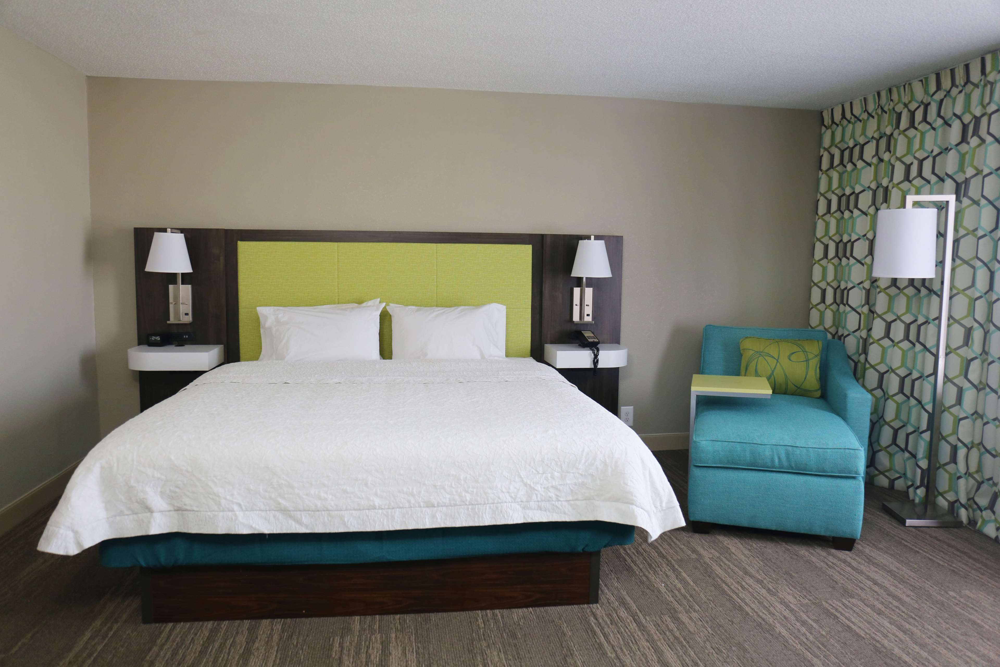 Hampton Inn by Hilton Sumter Room Type - 1KNG DLX W  SOFABED NOSMOK