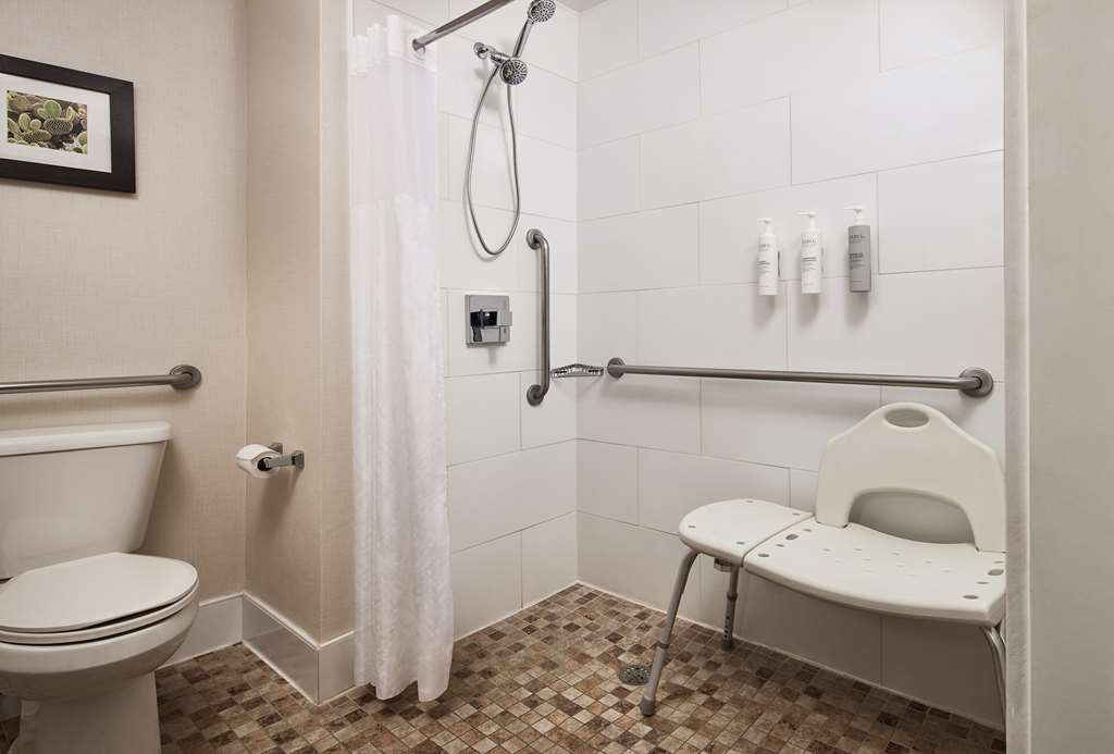 Hampton Inn by Hilton Taos Room Type - 1 KNG ACC ROLLIN SHWR NS