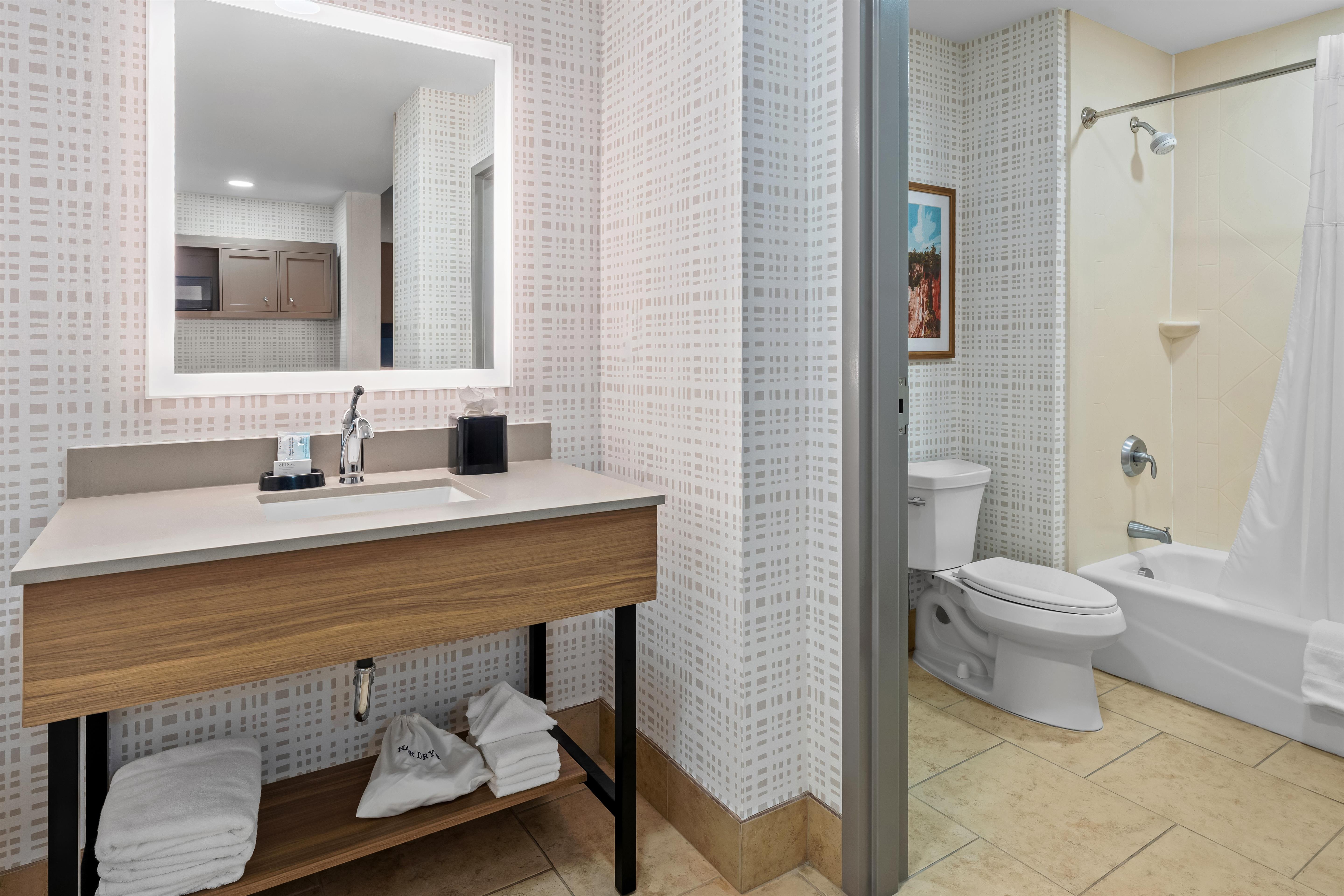 Hampton Inn Tifton Room Type - 1 KNG STUDIO SUITE NOSMOKE