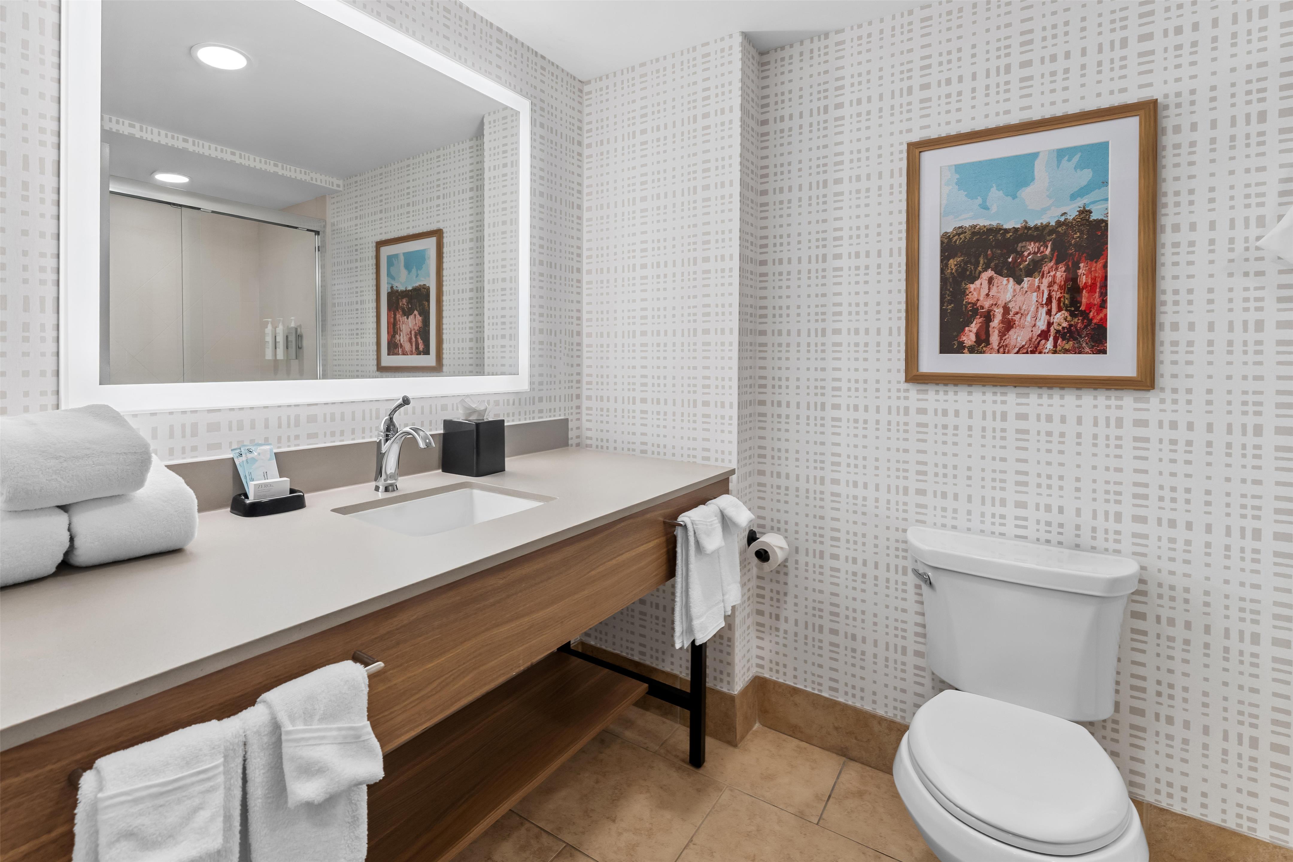 Guest room bath