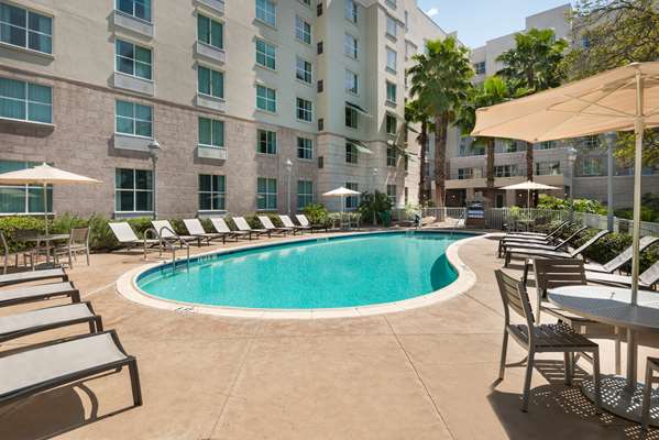 Pool - Homewood Suites by Hilton Airport West Tampa