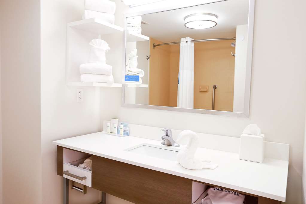Hampton Inn & Suites Tampa Wesley Chapel Room Type - 1KNG MOB HEAR ACC W TUB NS