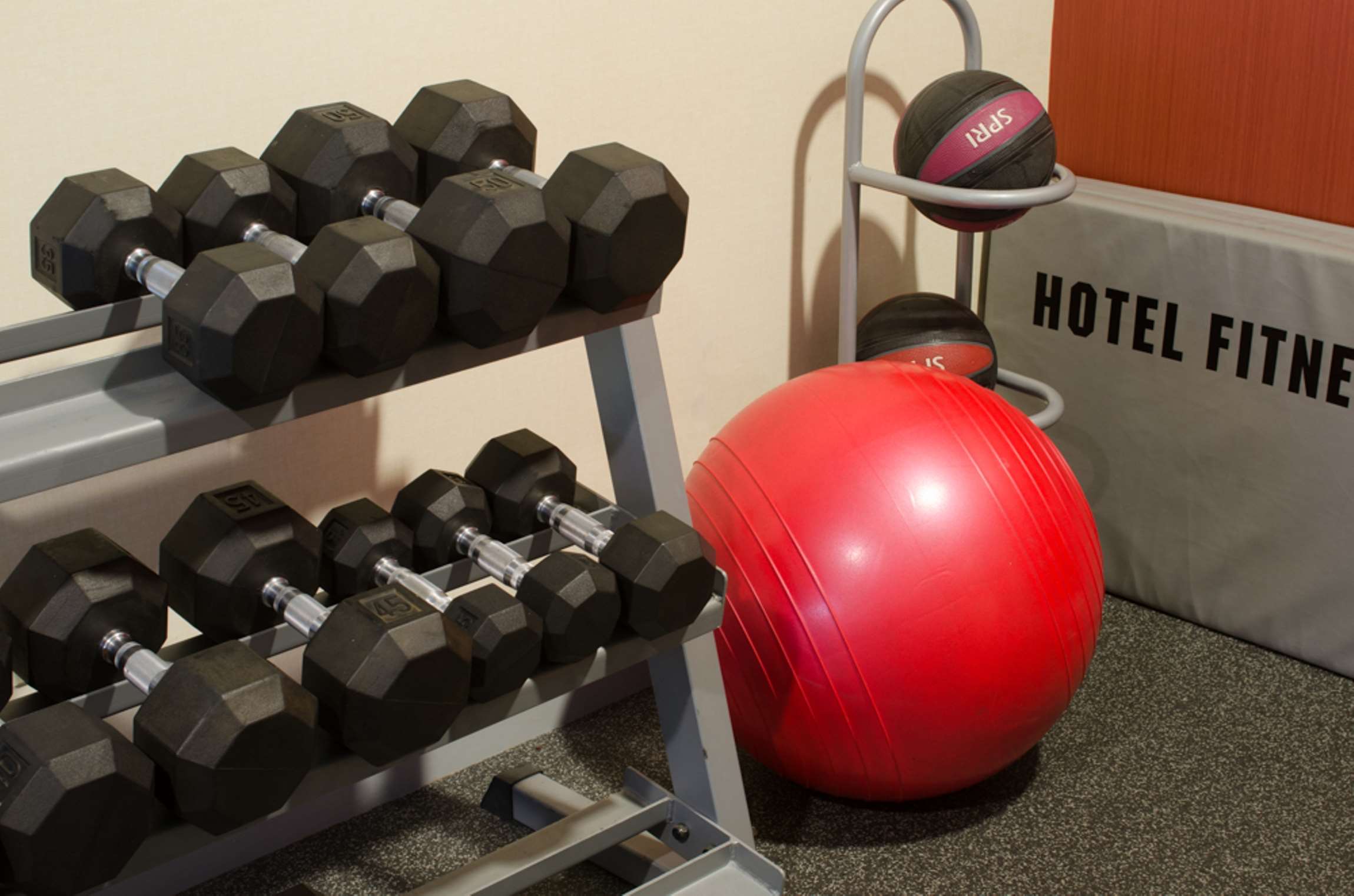 Health club fitness center gym