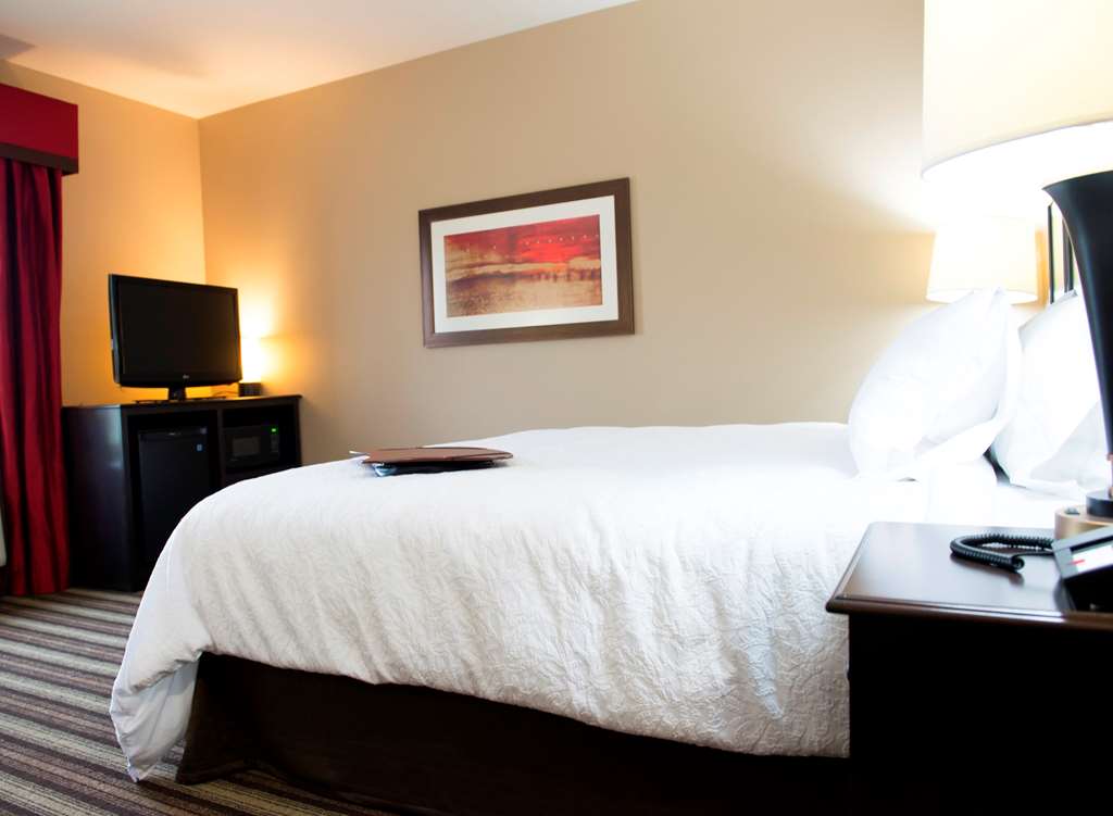 Hampton Inn & Suites by Hilton Hope Room Type - 1 KNG HEARING ACC NOSMOK