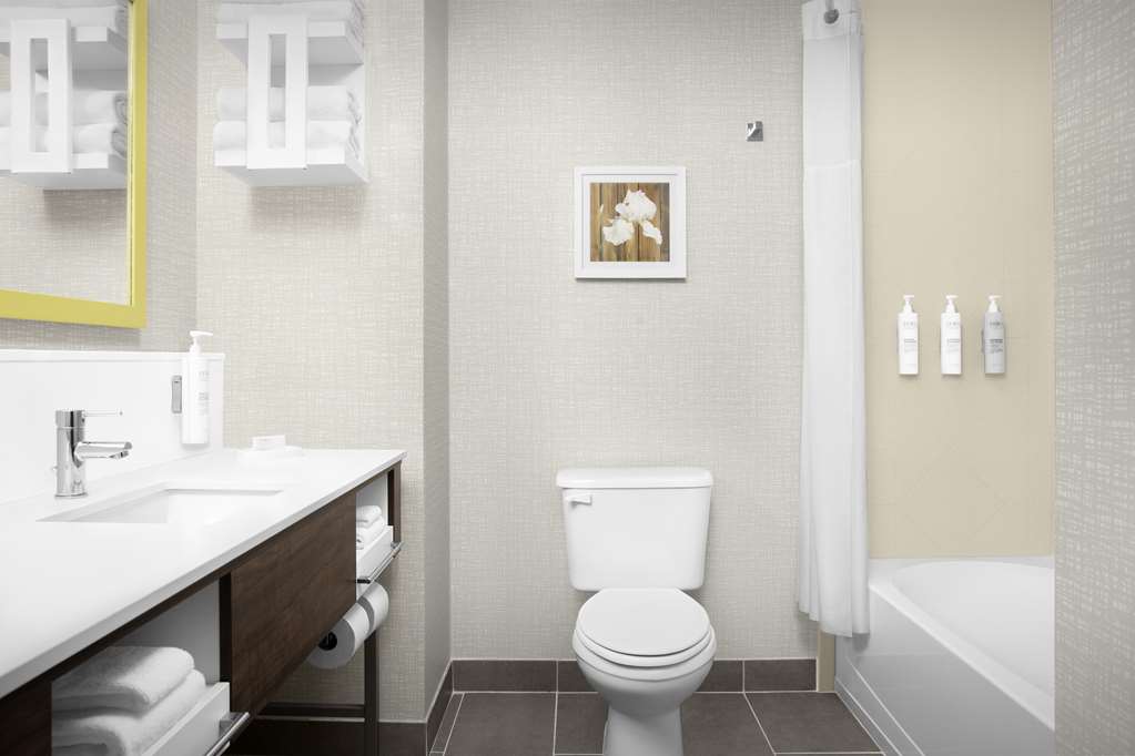 Hampton Inn Dandridge, TN-guestroom-Guest Room,Bathroom,On-Site.jpg