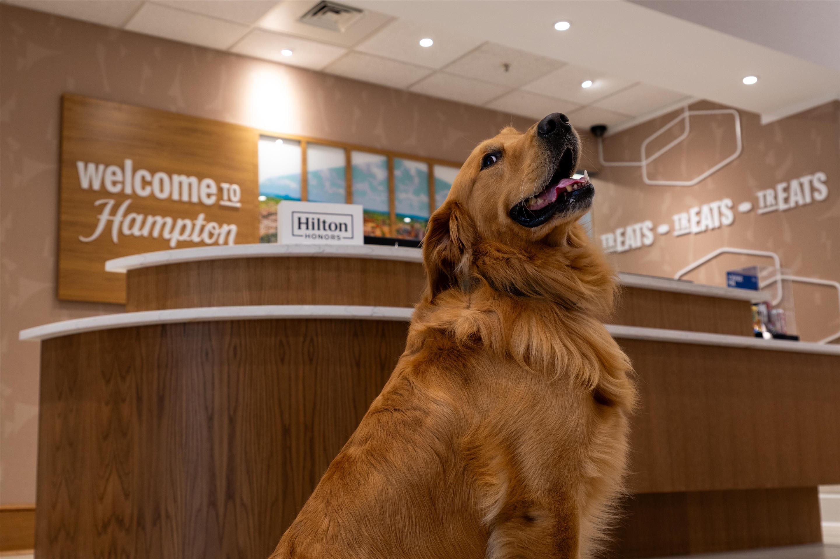 Lobby | Hampton Inn & Suites Knoxville-Turkey Creek/Farragut