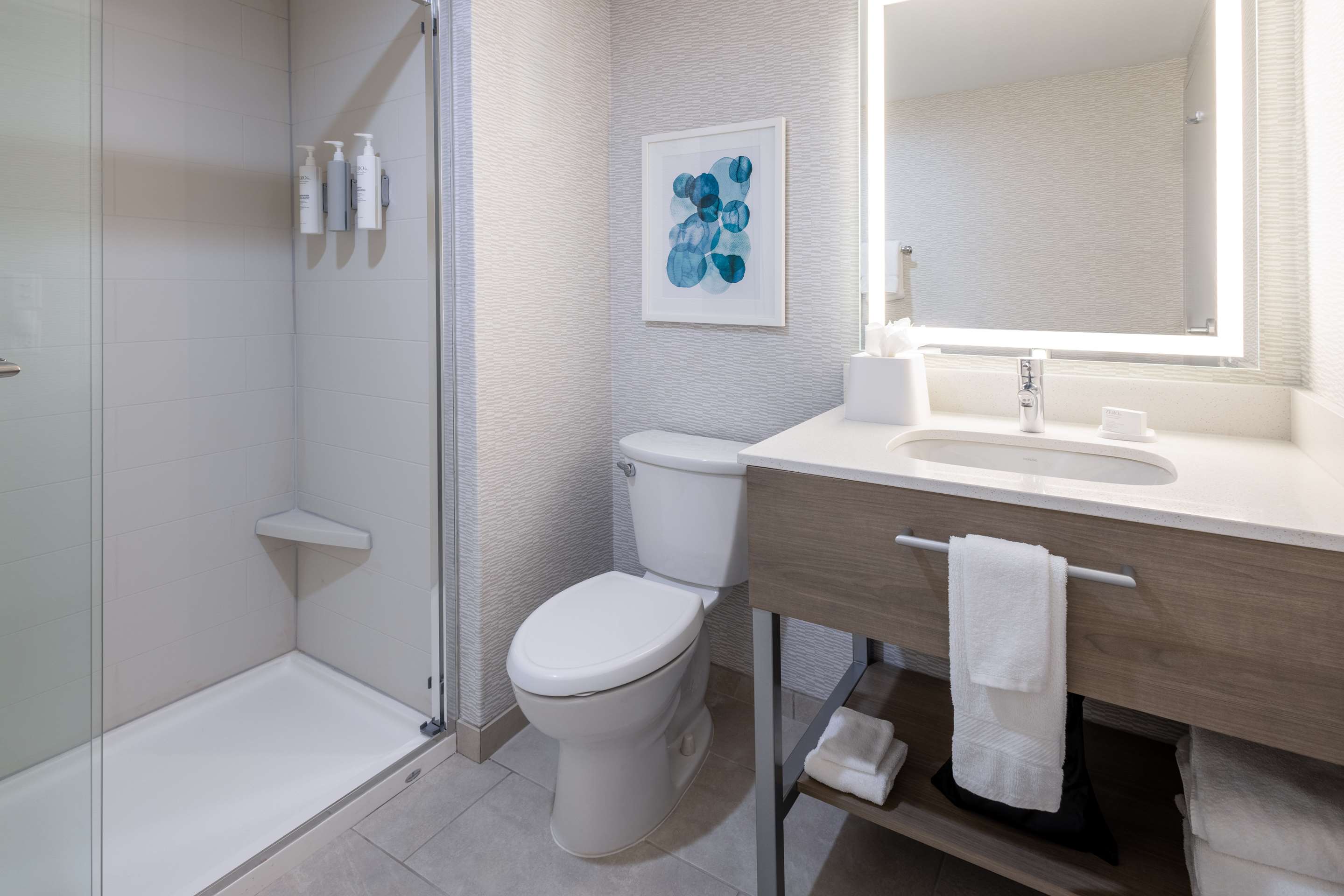 Guest room bath