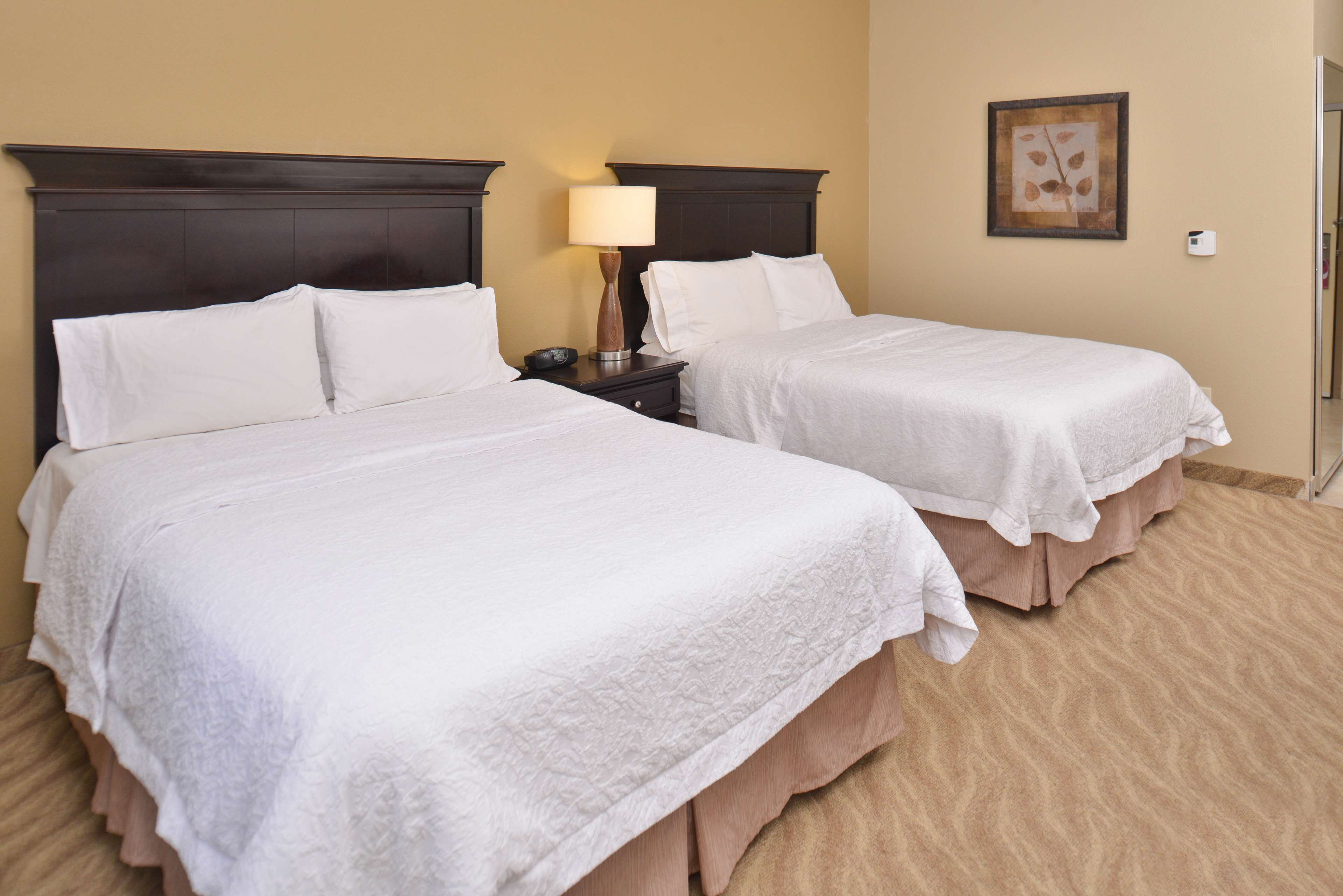 Hampton Inn by Hilton Van Horn Room Type - 2QN MOB HEARING ACC TUB NS
