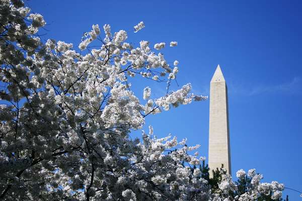 Exterior view - Embassy Suites at Chevy Chase Pavilion DC