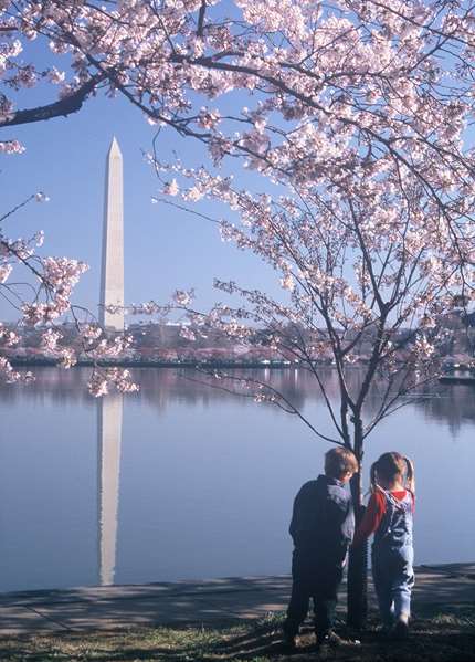 Exterior view - Homewood Suites by Hilton I-495 Falls Church