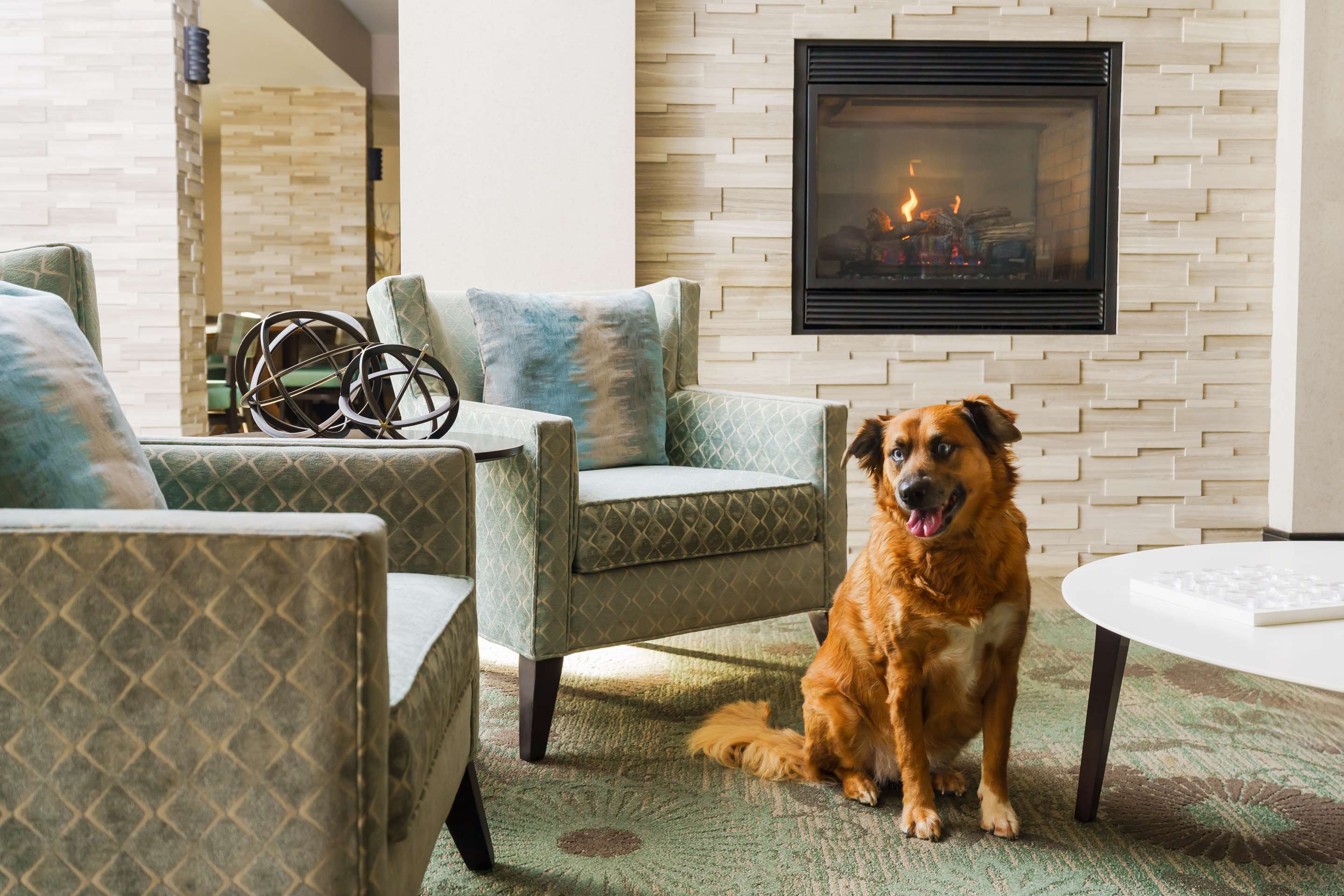 Undefined/Not Set | Homewood Suites by Hilton Providence/Warwick