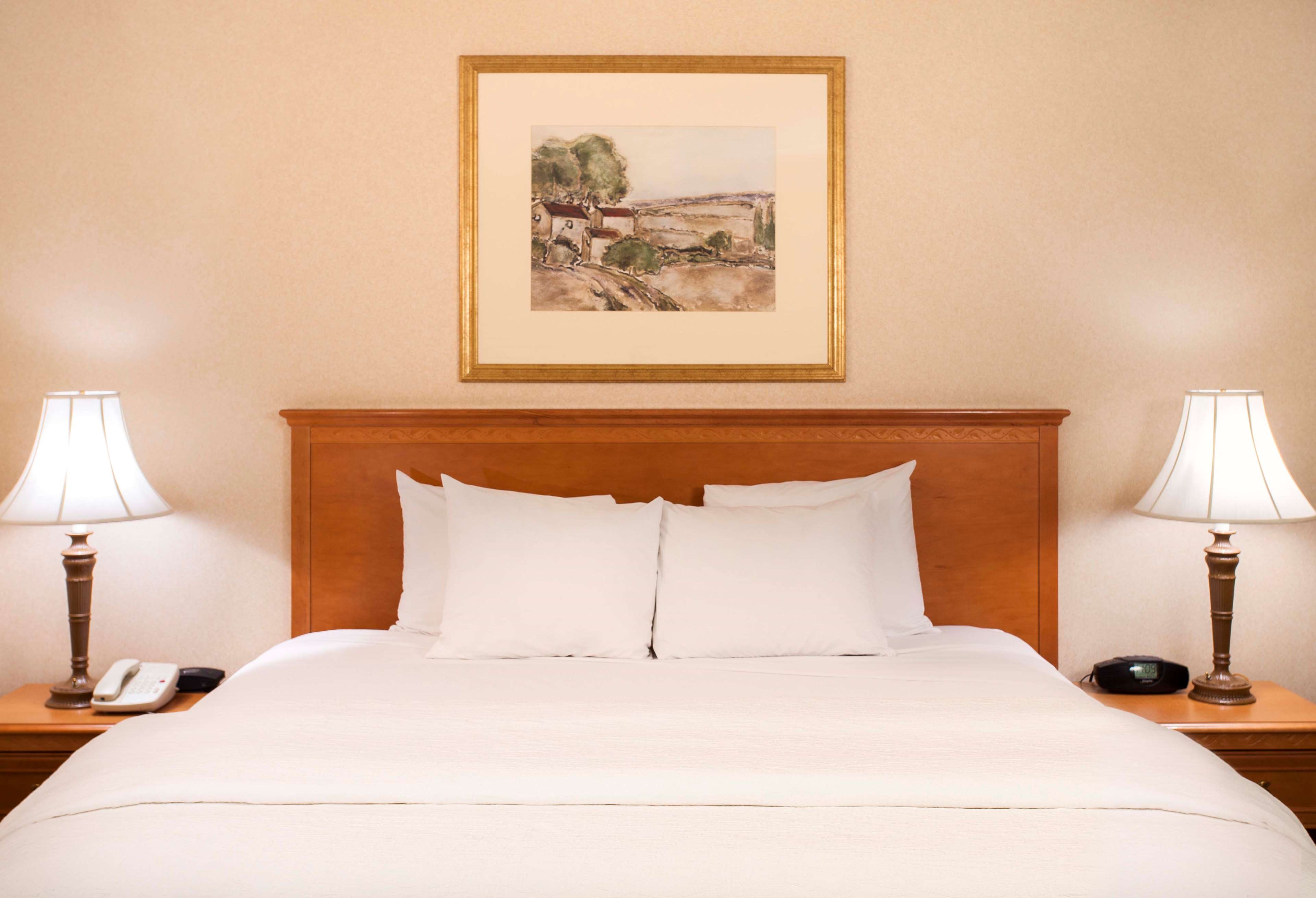 Hampton Inn & Suites by Hilton Addison Room Type - 1KING STUDY SOFABED NOSMOK