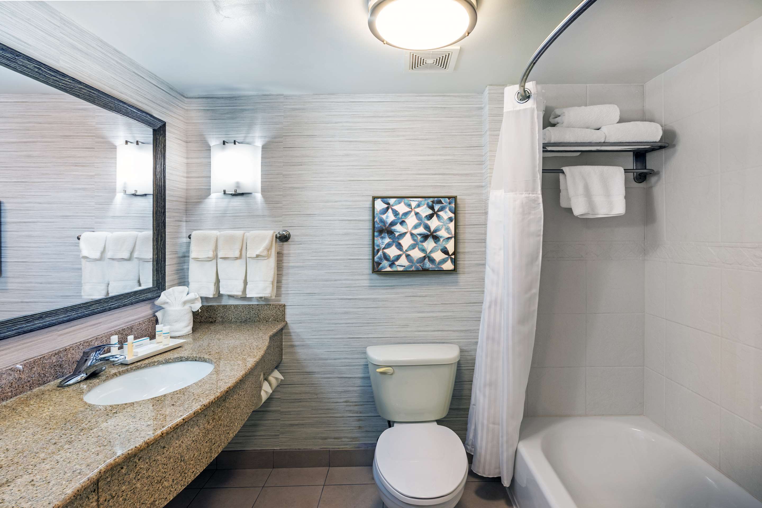 Guest room bath