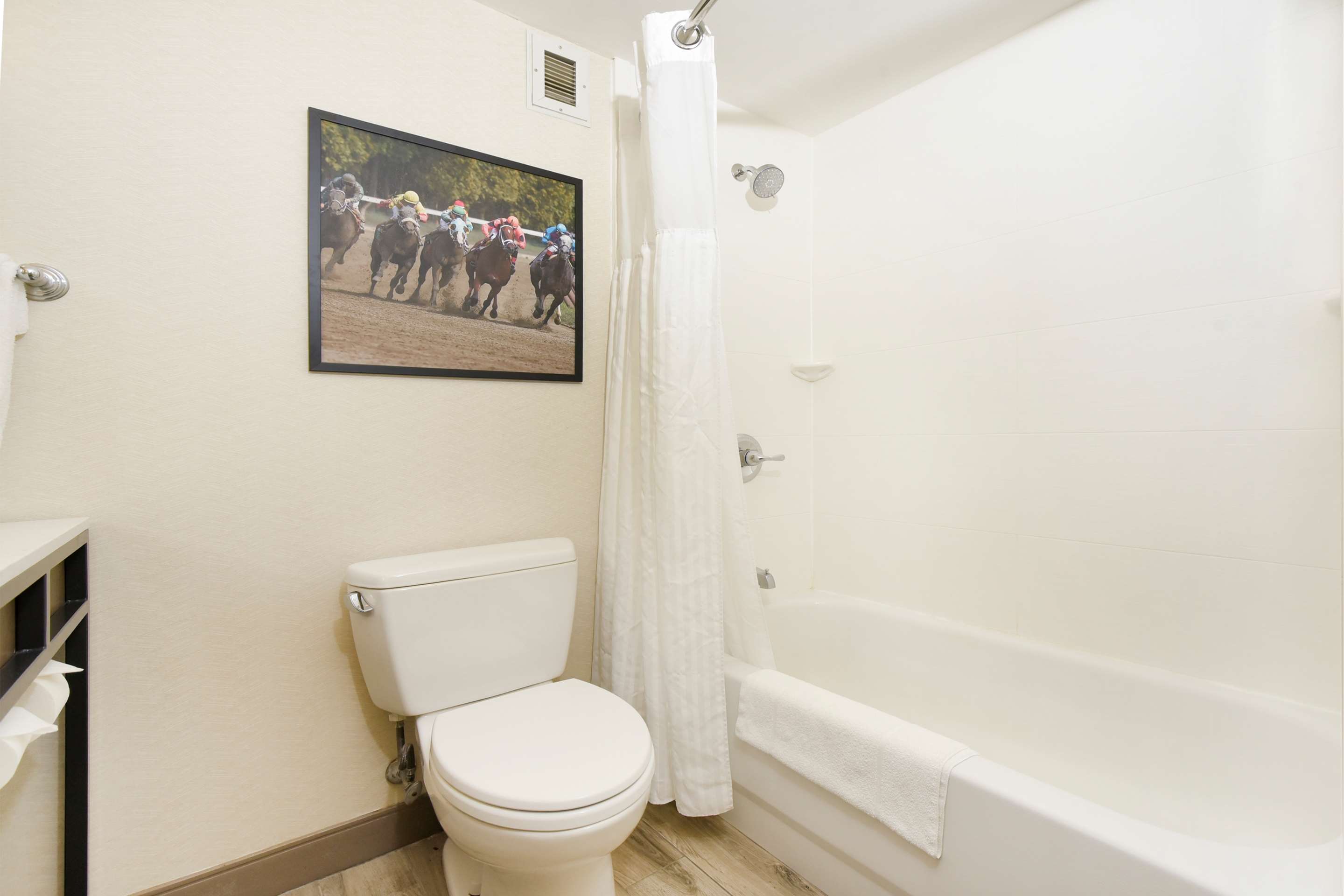 Guest room bath