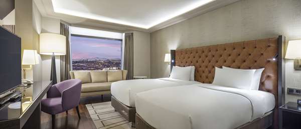 TWIN EXECUTIVE ROOM