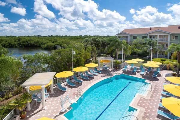 Pool - DoubleTree Suites by Hilton Hotel Naples