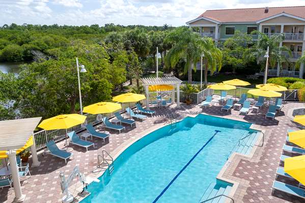 Pool - DoubleTree Suites by Hilton Hotel Naples
