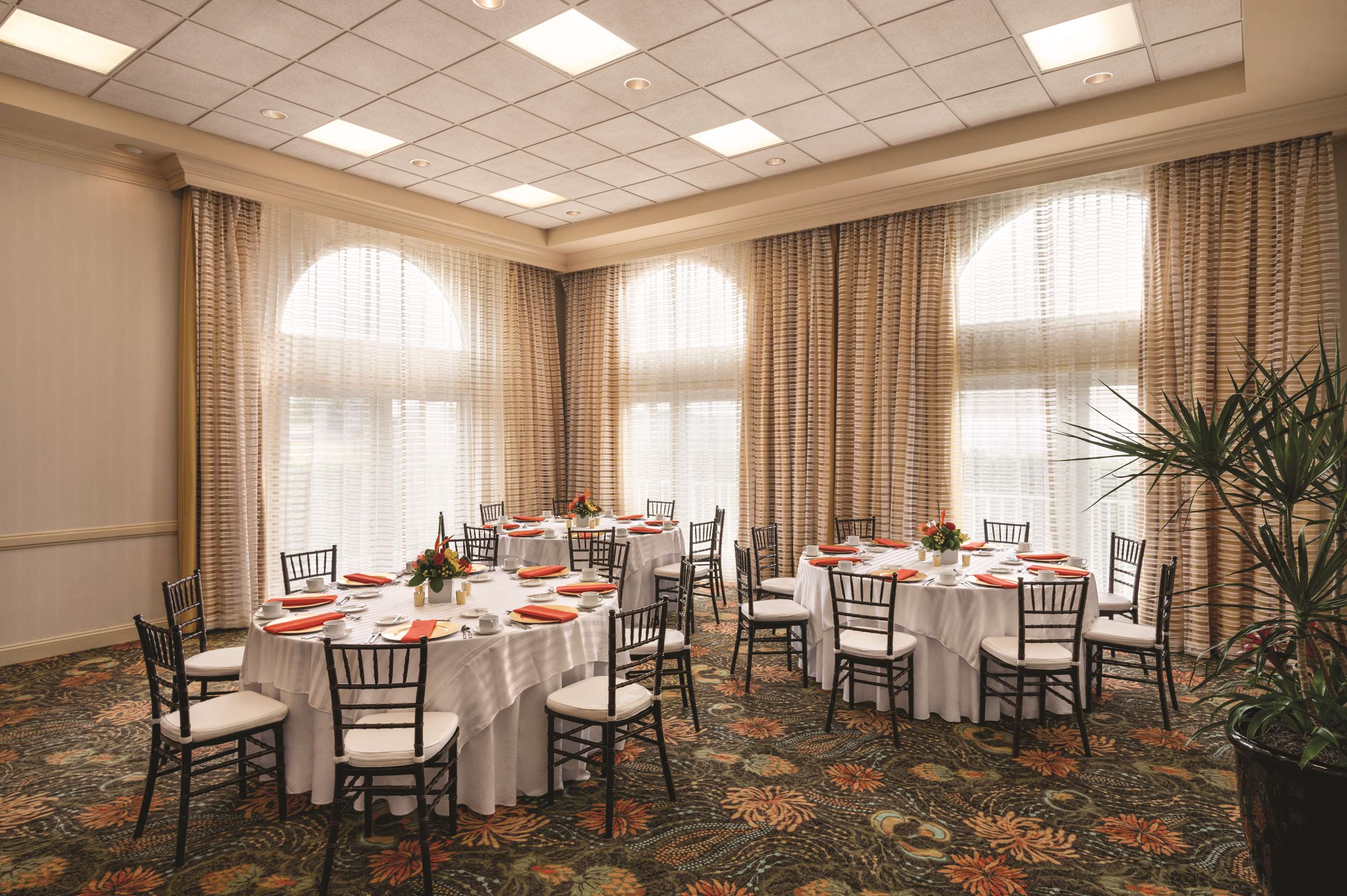 Meeting Room | Hilton Naples
