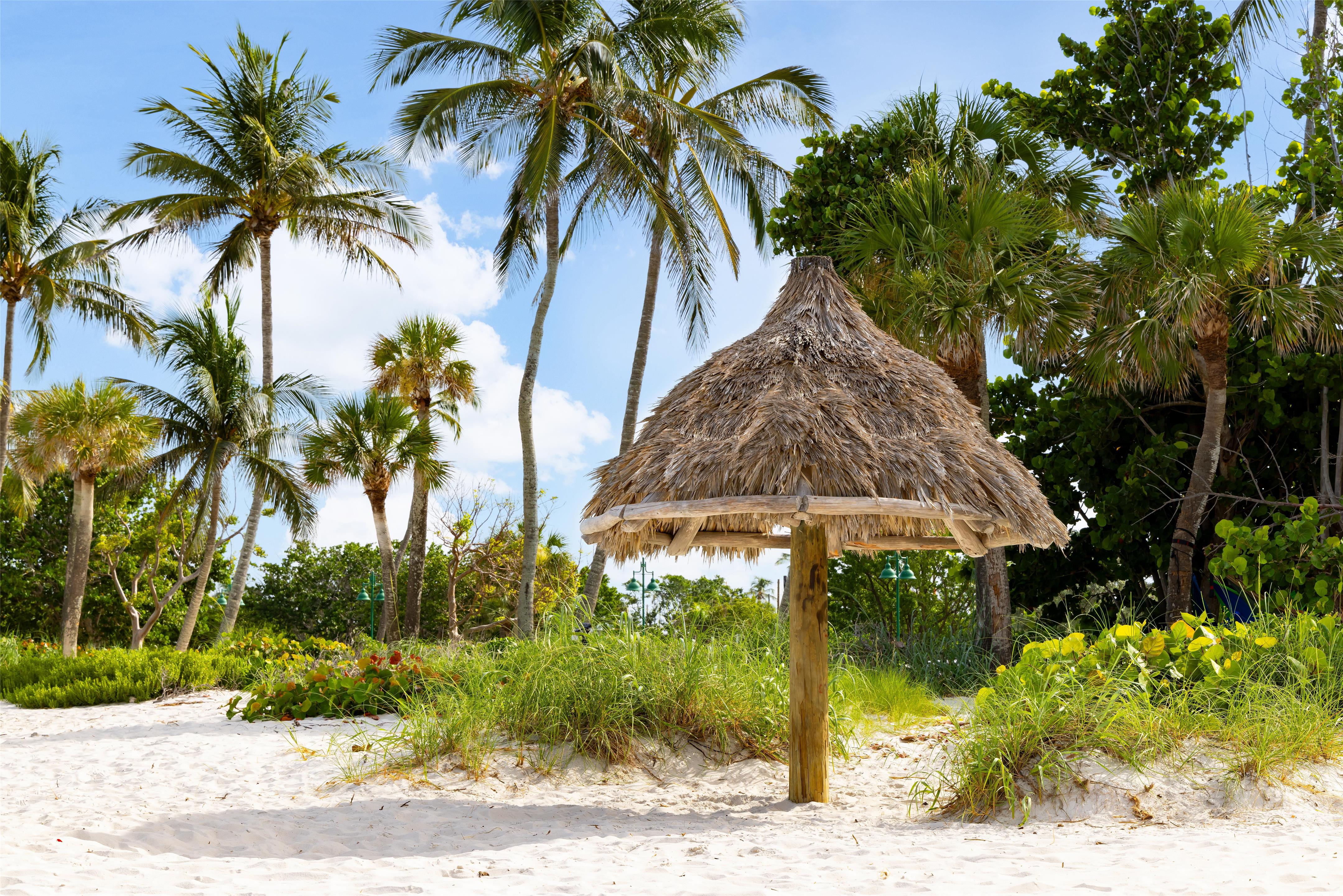 Beach | Hampton Inn Naples Central