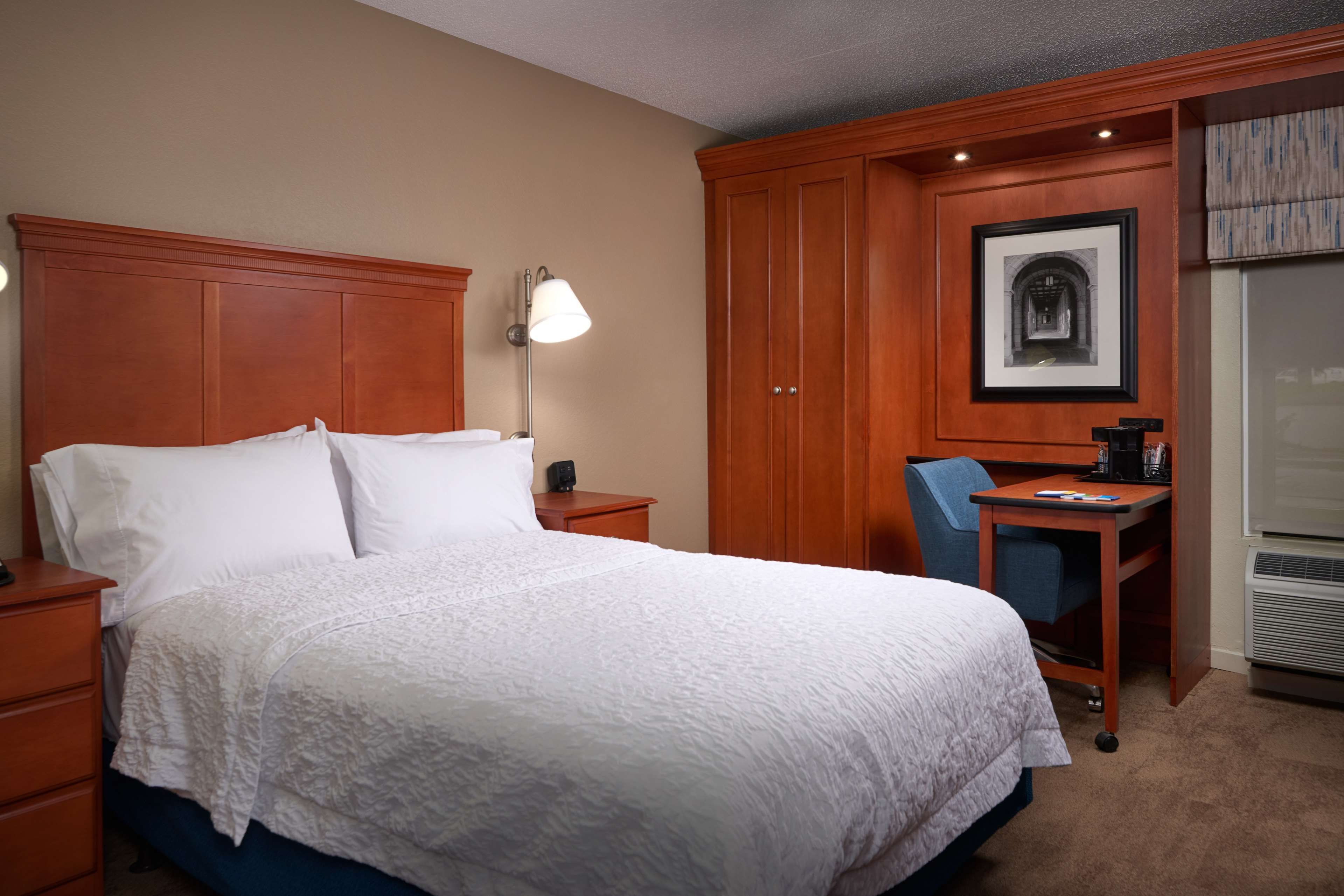 HAMPTON INN ANN ARBOR SOUTH Room Type - 1 DBL ACC W ROLLIN SHWR NS