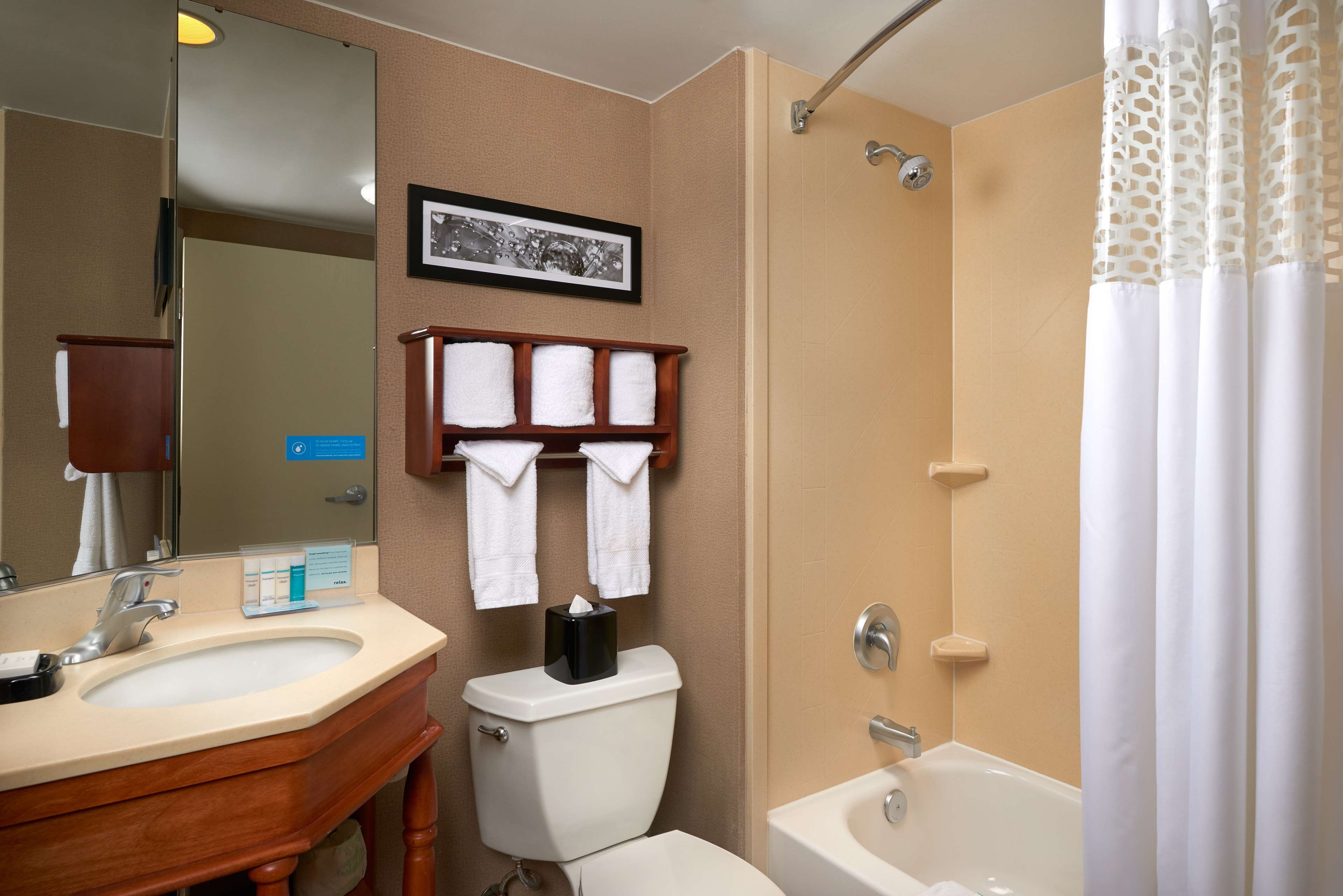 HAMPTON INN ANN ARBOR SOUTH Room Type - 1 QUEEN NONSMOKING