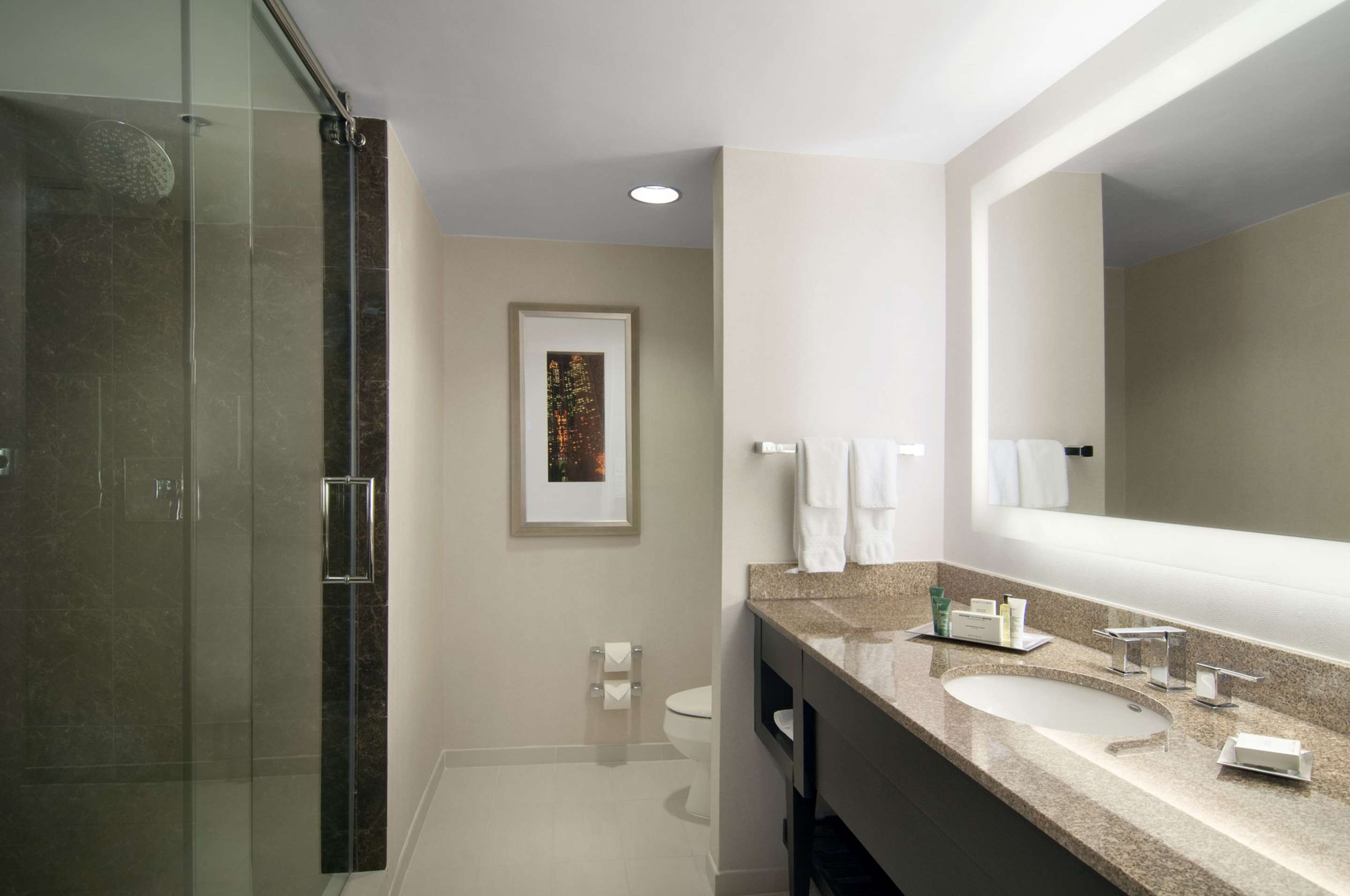 Guest room bath