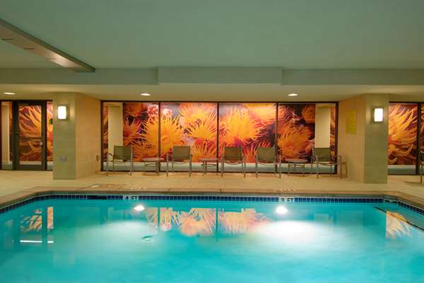 Pool - Hilton Garden Inn Downtown Atlanta - I-75 & I-85, Exit 249B & 249C