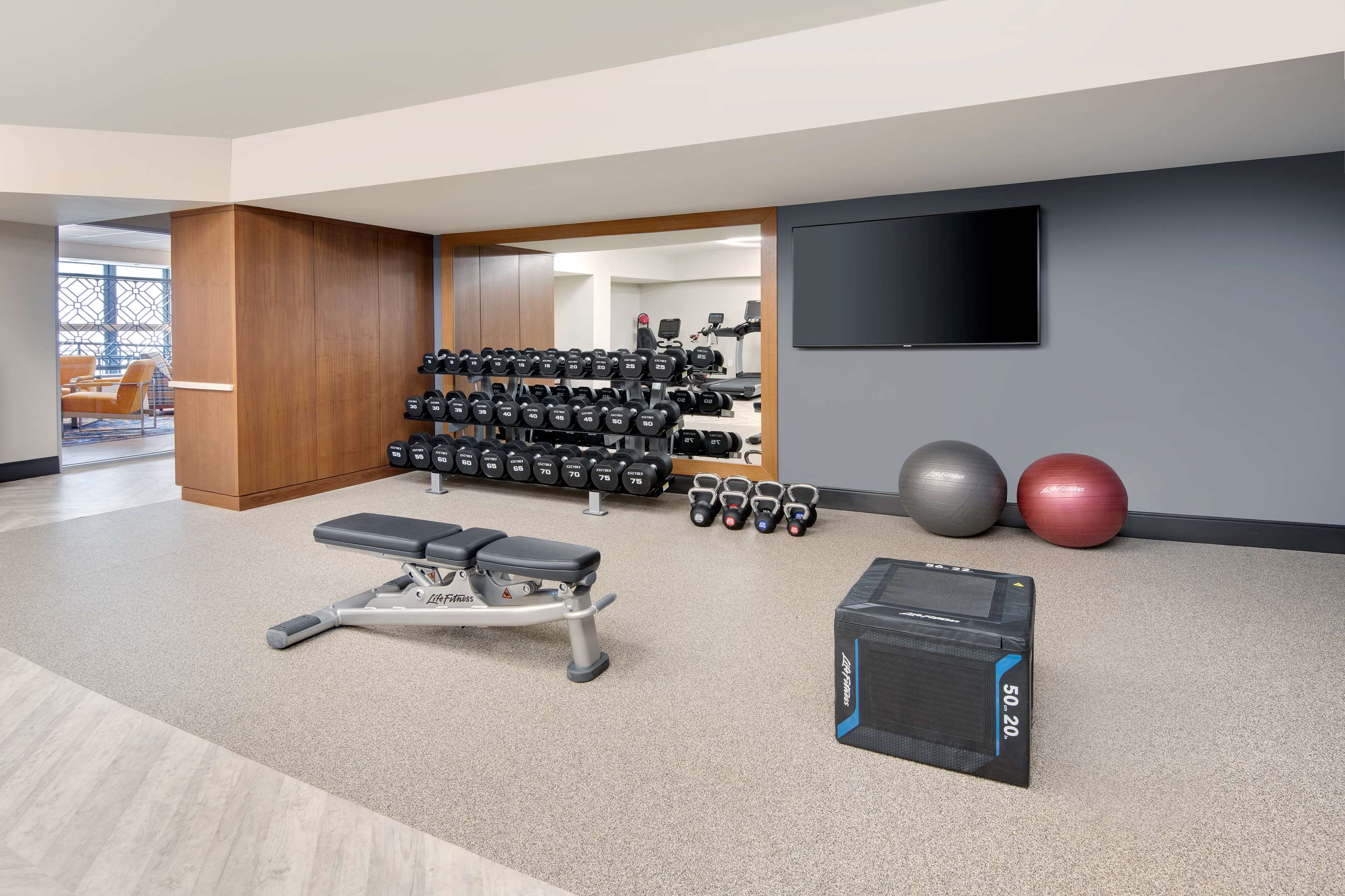 Health club fitness center gym