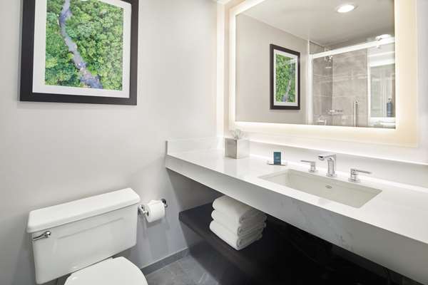  - DoubleTree by Hilton Roswell - US 19, Exit 7