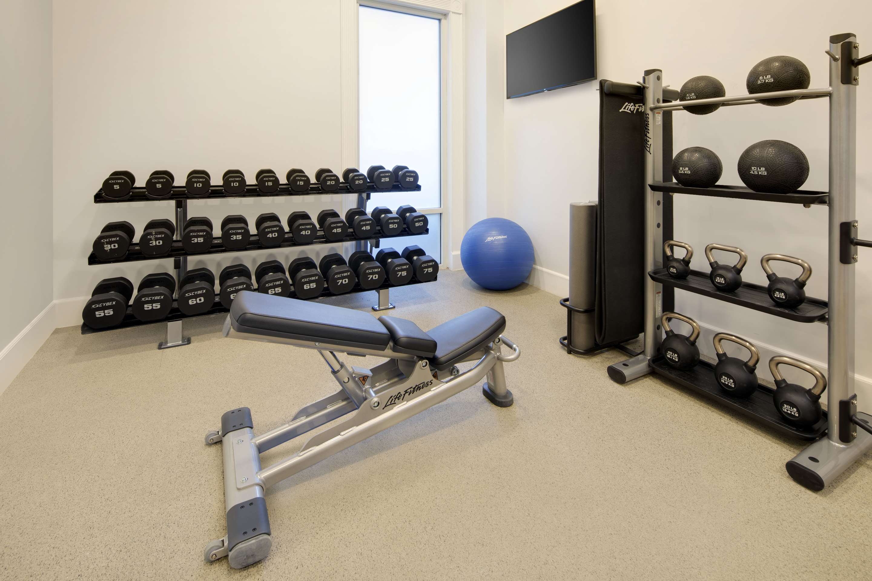 Health club fitness center gym